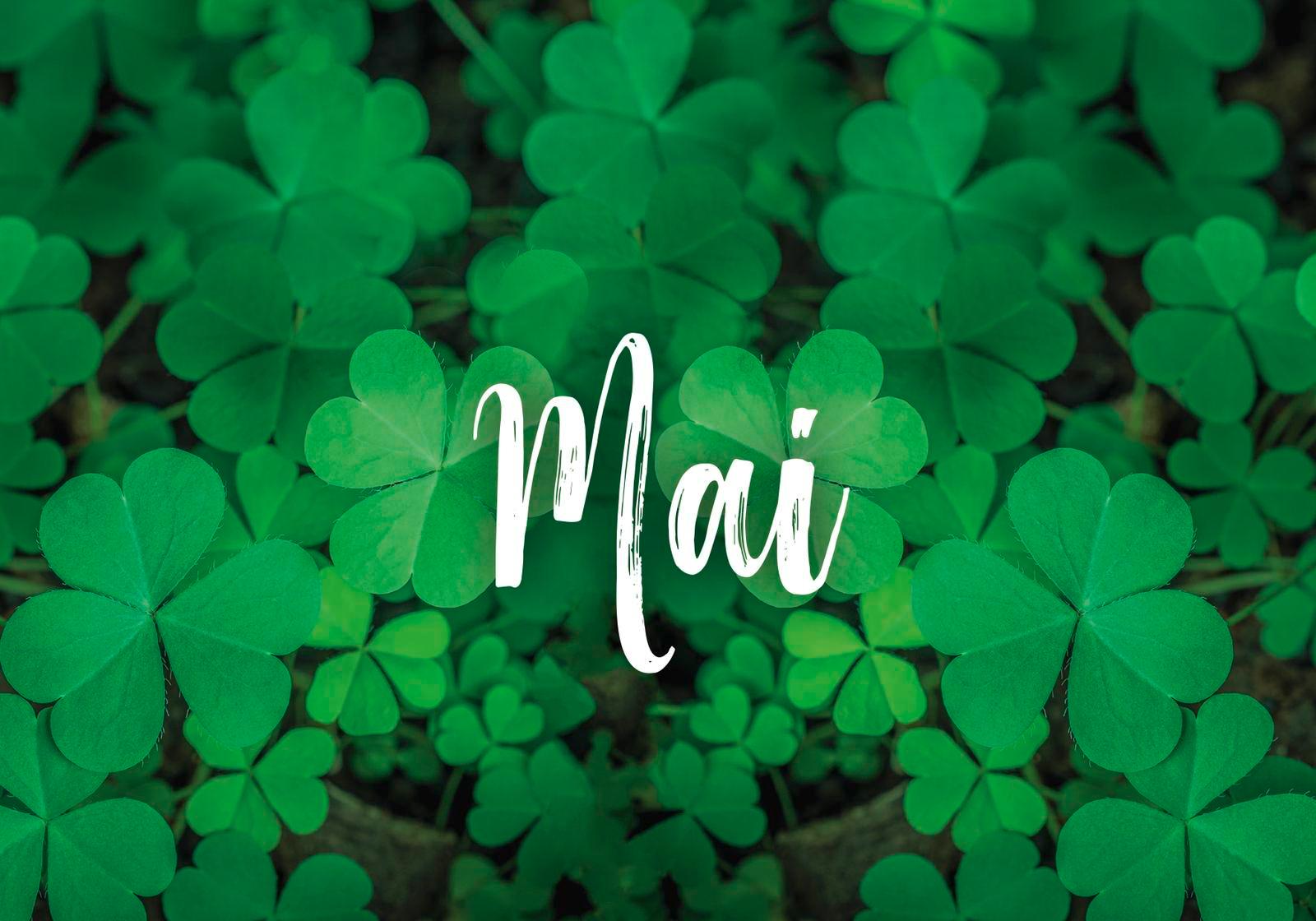 Beispielinhalt (Bild) 365 Glücksmomente