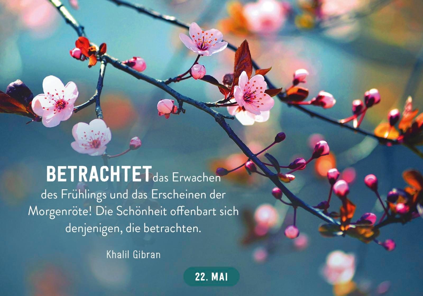 Beispielinhalt (Bild) 365 gute Wünsche