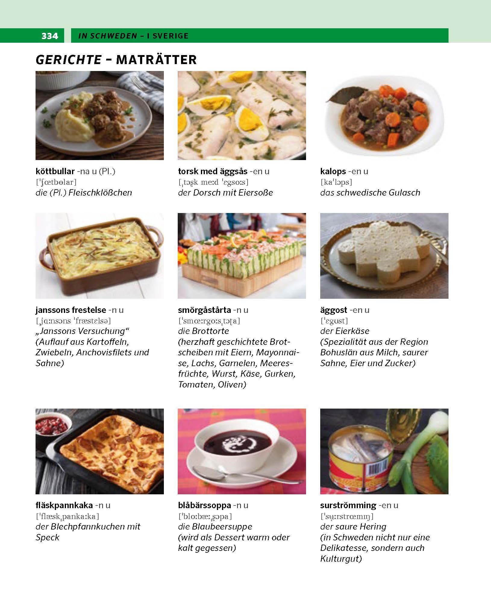 Beispielinhalt (Bild) PONS Bildwörterbuch Schwedisch