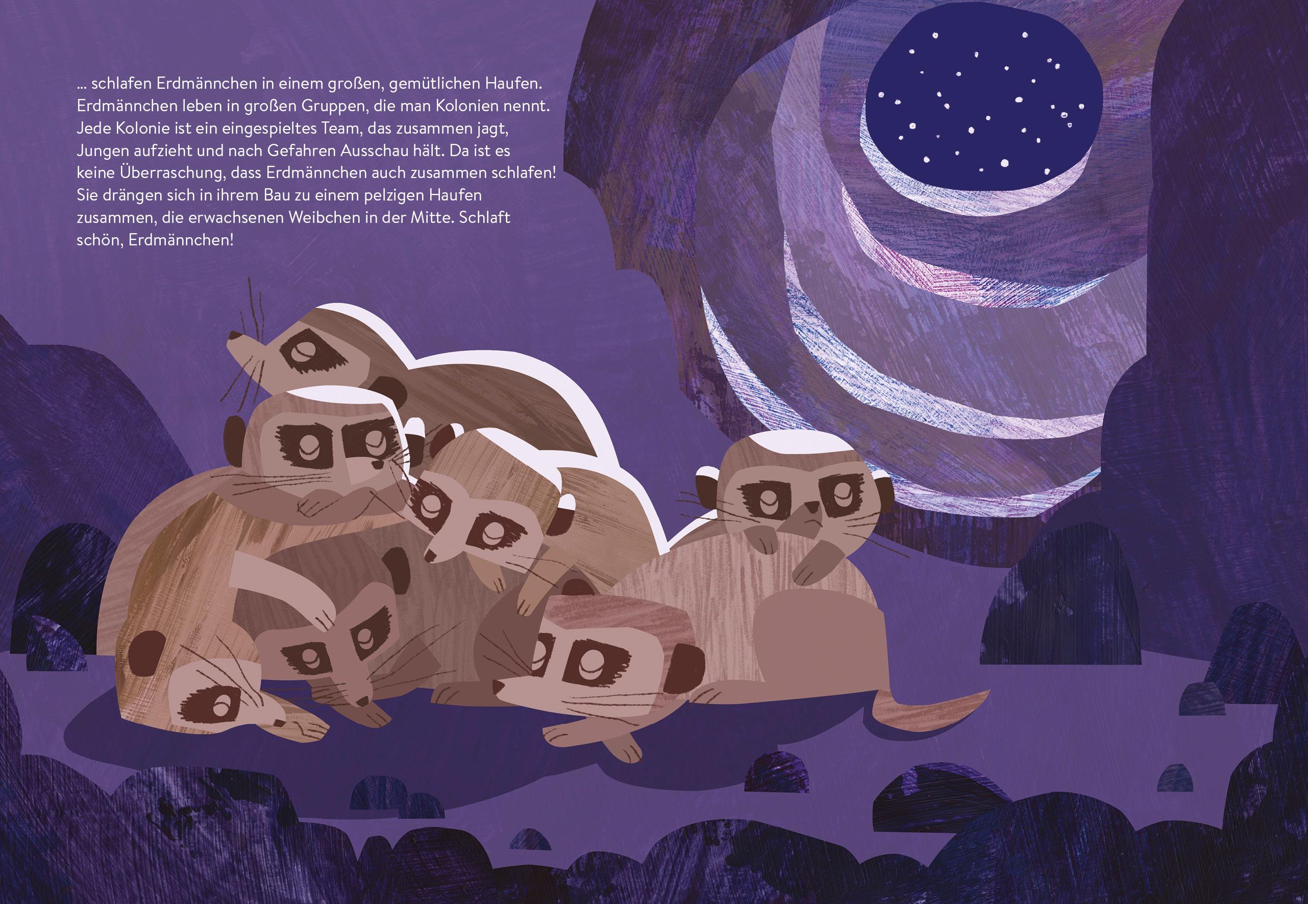 Beispielinhalt (Bild) Ab ins Nest! - Wie Tiere schlafen gehen