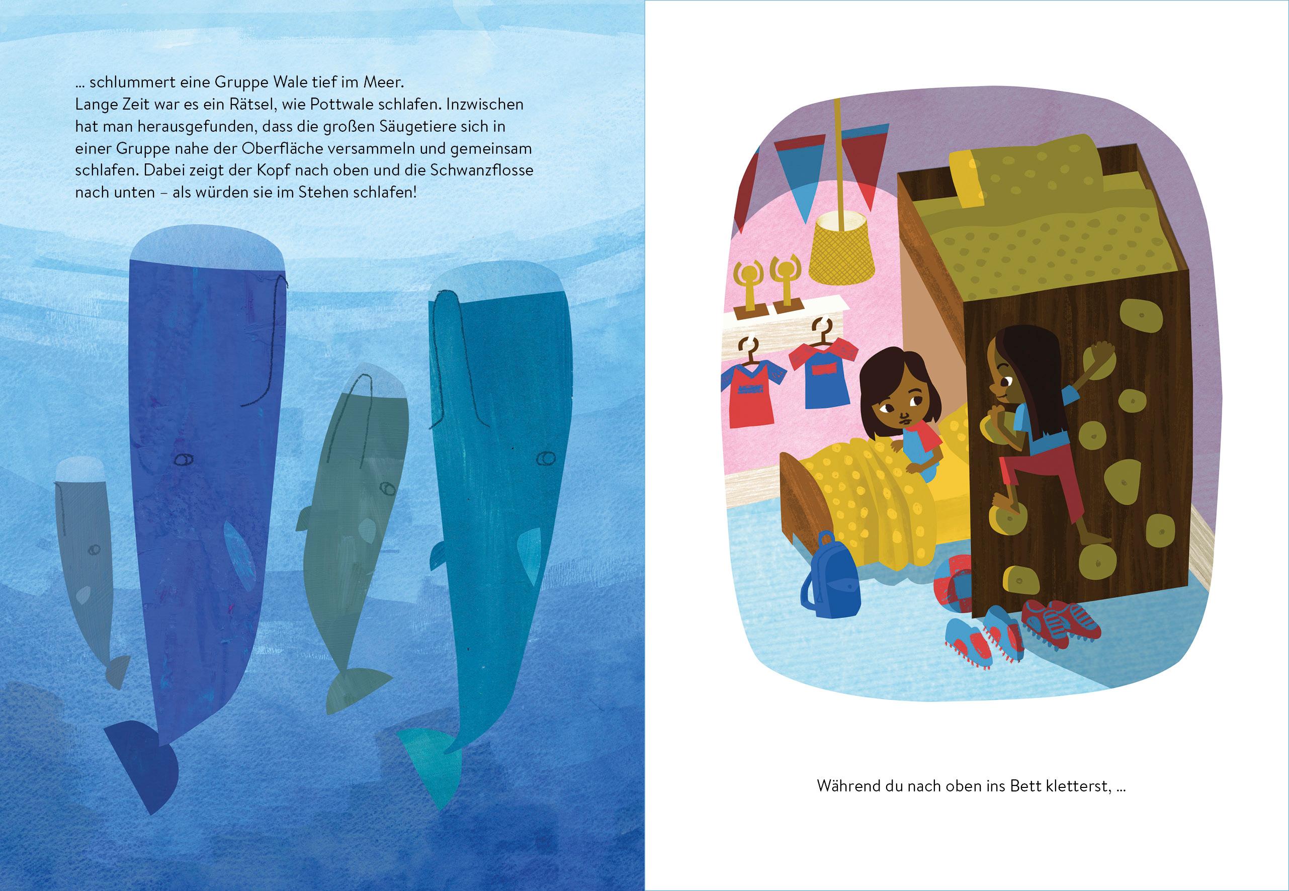 Beispielinhalt (Bild) Ab ins Nest! - Wie Tiere schlafen gehen