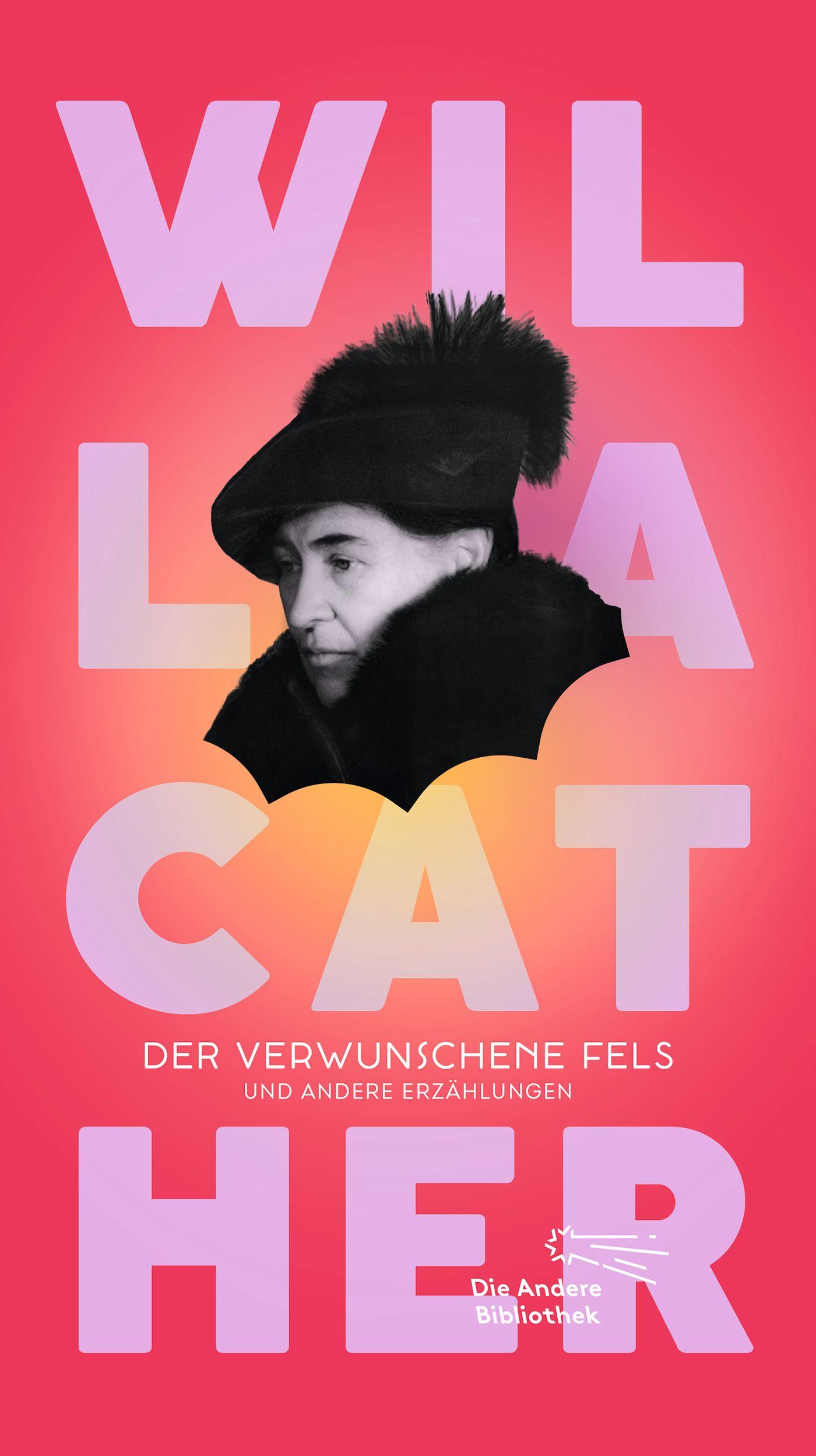 Vorderes Coverbild Der verwunschene Fels