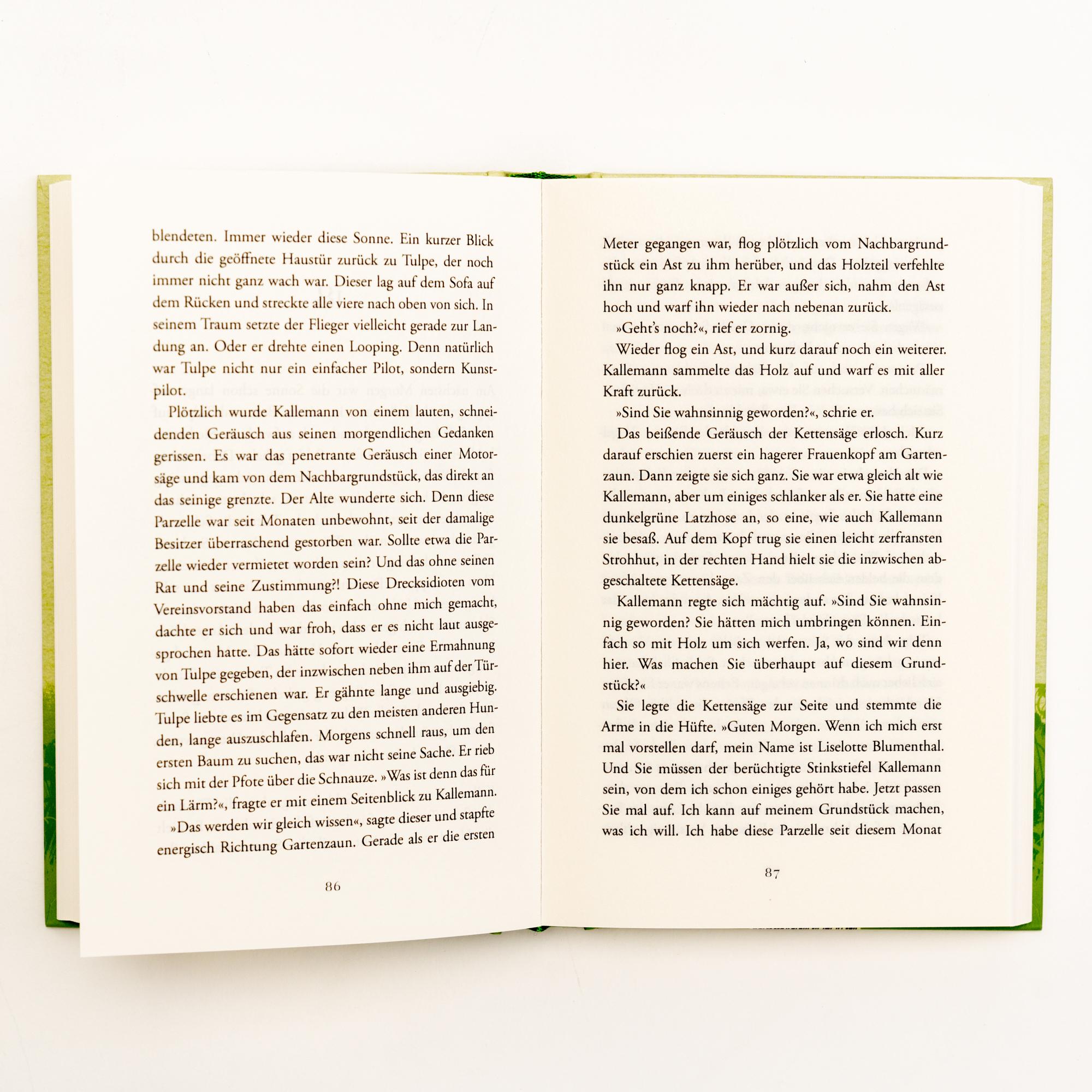 Beispielinhalt (Bild) Tulpe