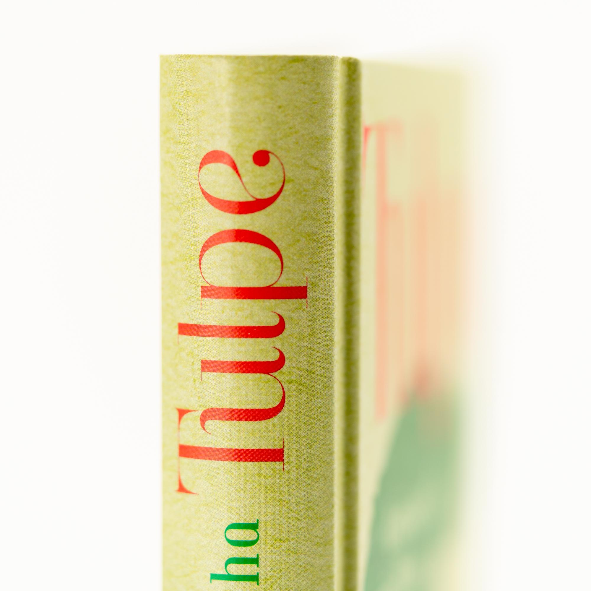 Beispielinhalt (Bild) Tulpe