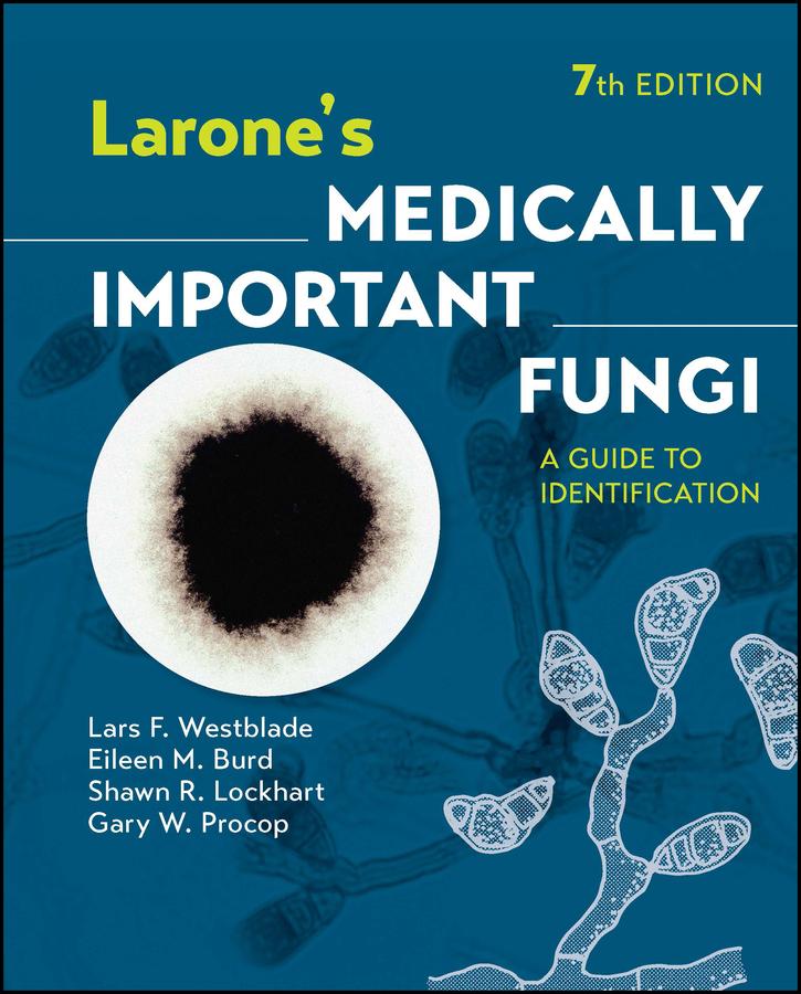 Vorderes Coverbild Larone's Medically Important Fungi