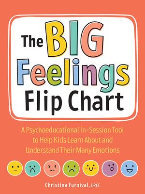 Vorderes Coverbild The Big Feelings Flip Chart