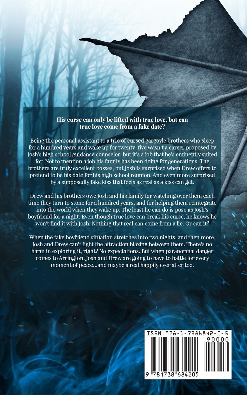 Rückseitencover Stone Wings