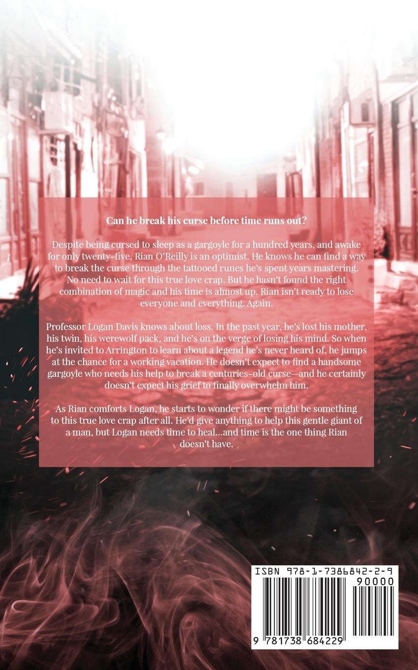 Rückseitencover Stone Skin