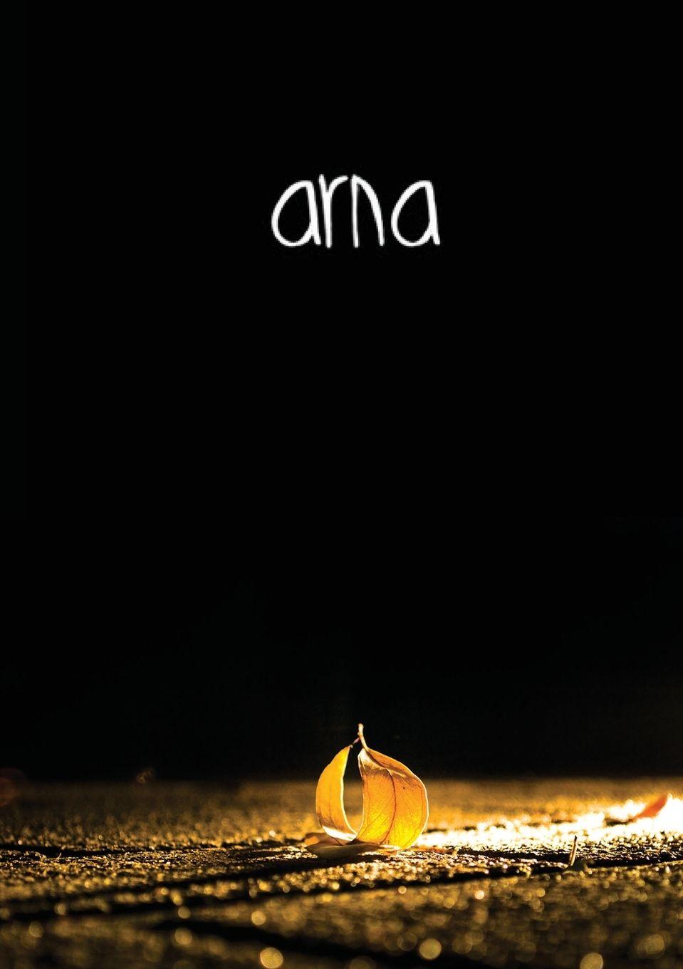Vorderes Coverbild Arna 2013