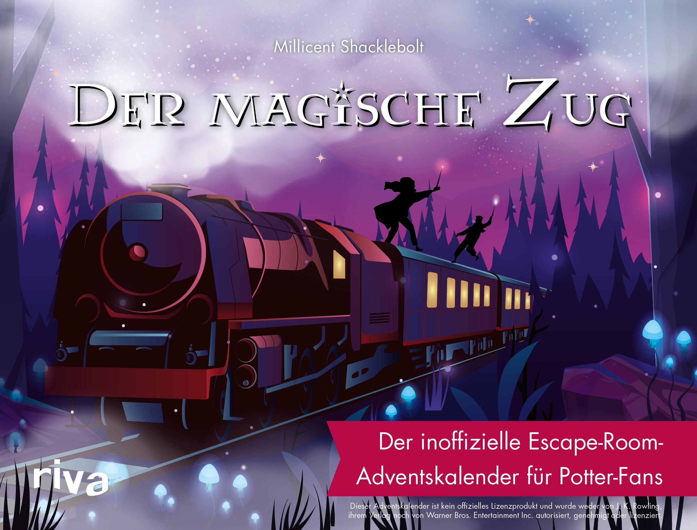 Vorderes Coverbild Der magische Zug