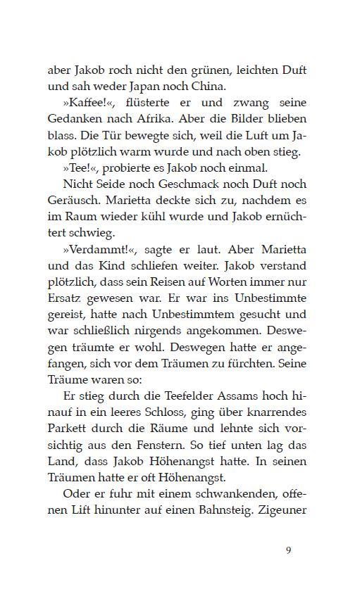 Beispielinhalt (Bild) Der Teezauberer