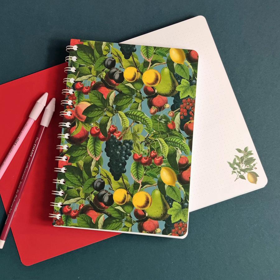 Beispielinhalt (Bild) Ringbuch A5 Obst