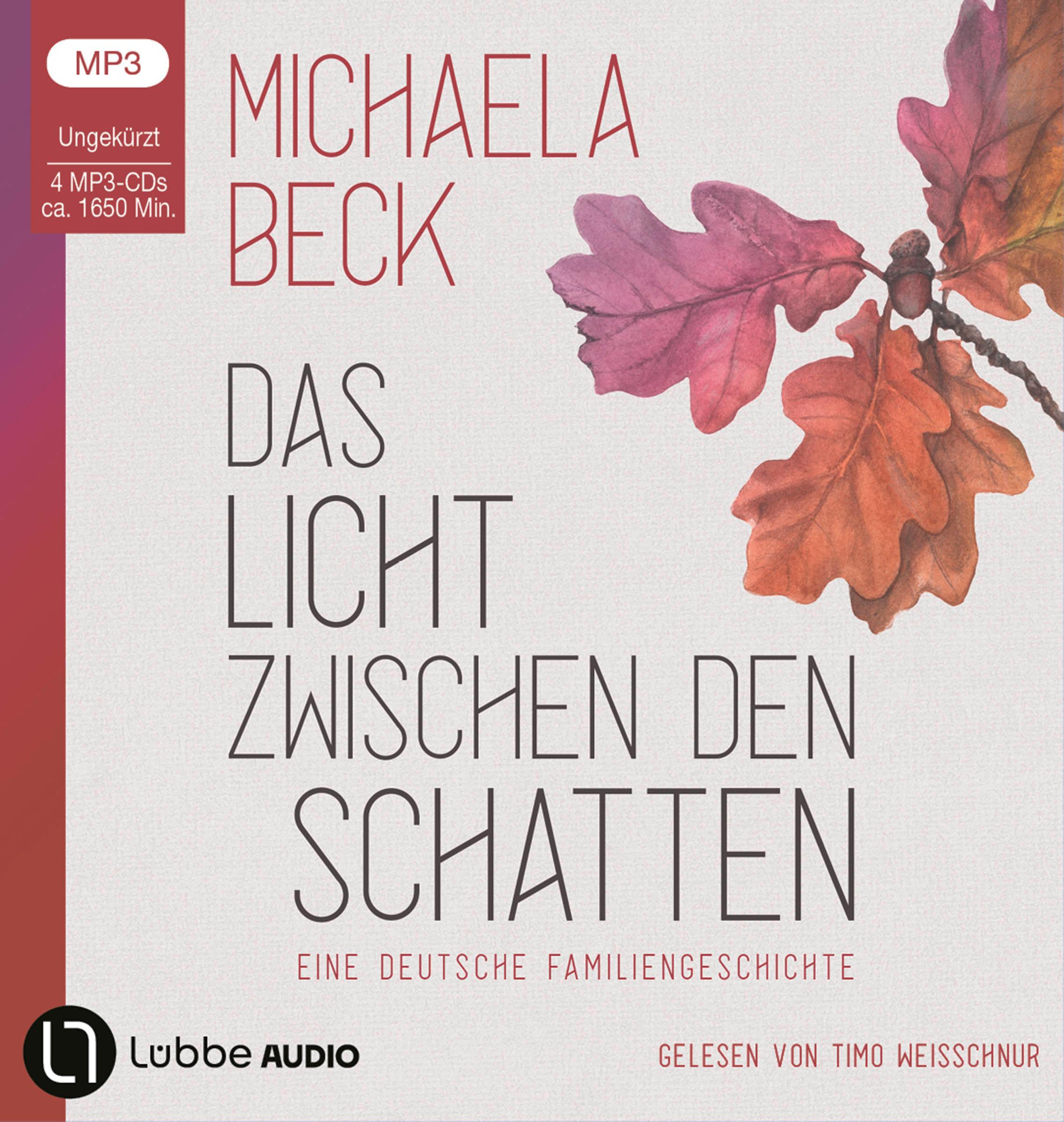 Vorderes Coverbild Das Licht zwischen den Schatten