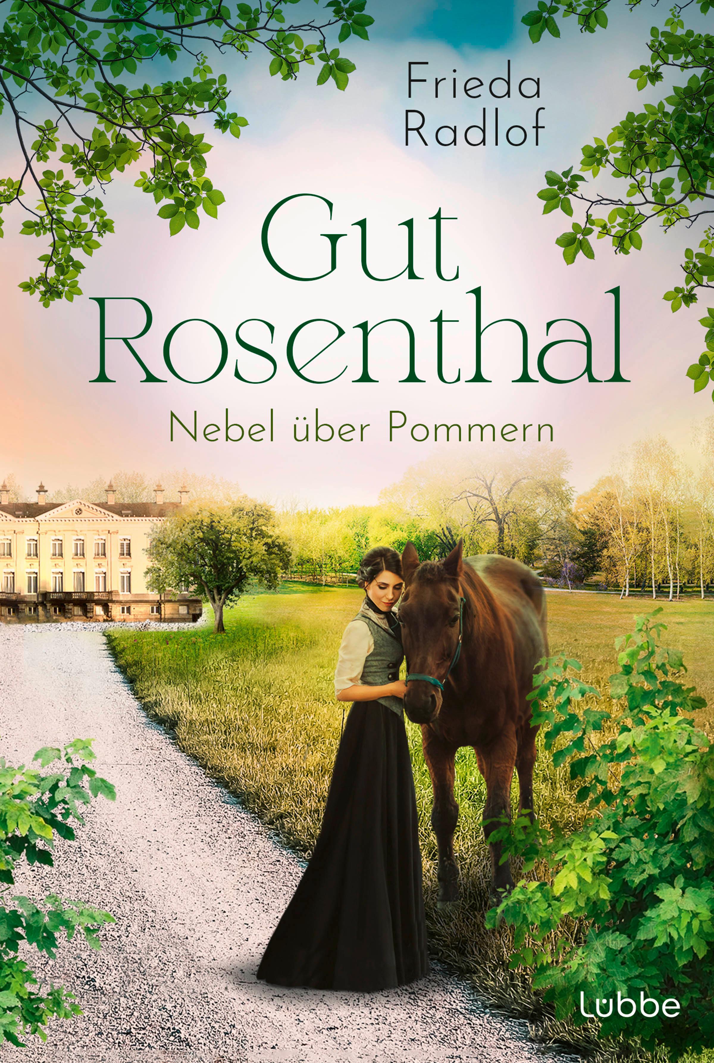 Vorderes Coverbild Gut Rosenthal - Nebel über Pommern