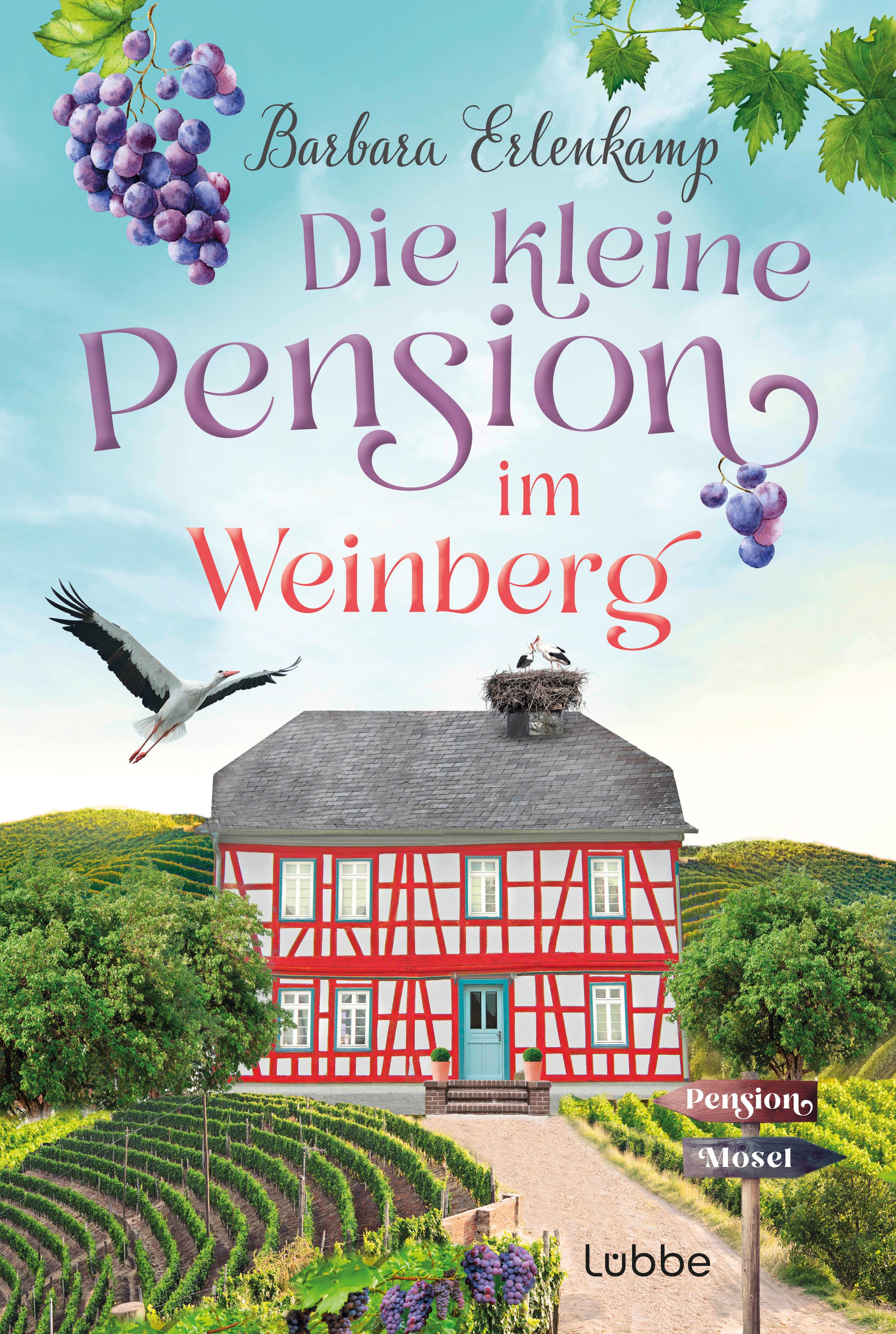 Vorderes Coverbild Die kleine Pension im Weinberg