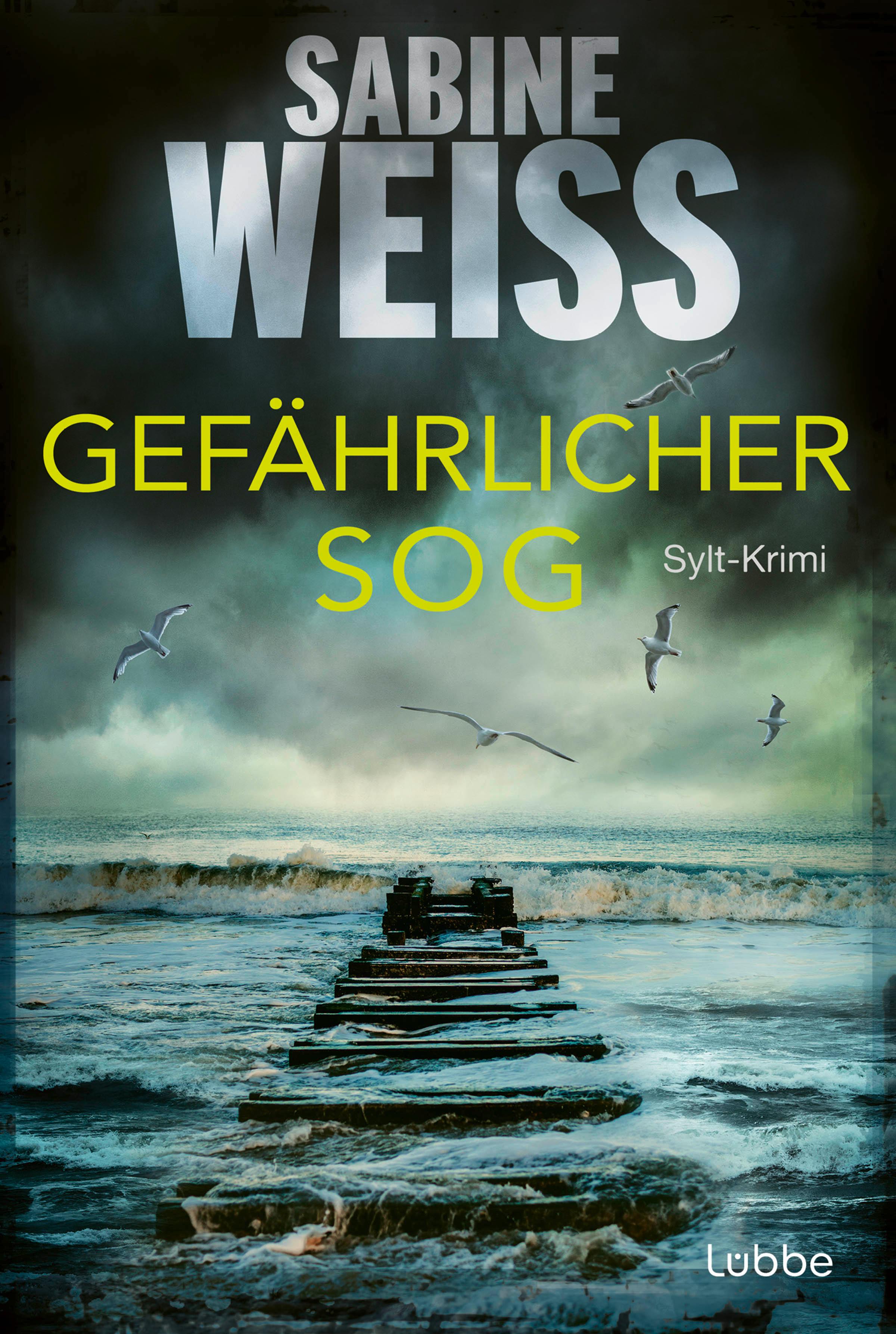 Vorderes Coverbild Gefährlicher Sog