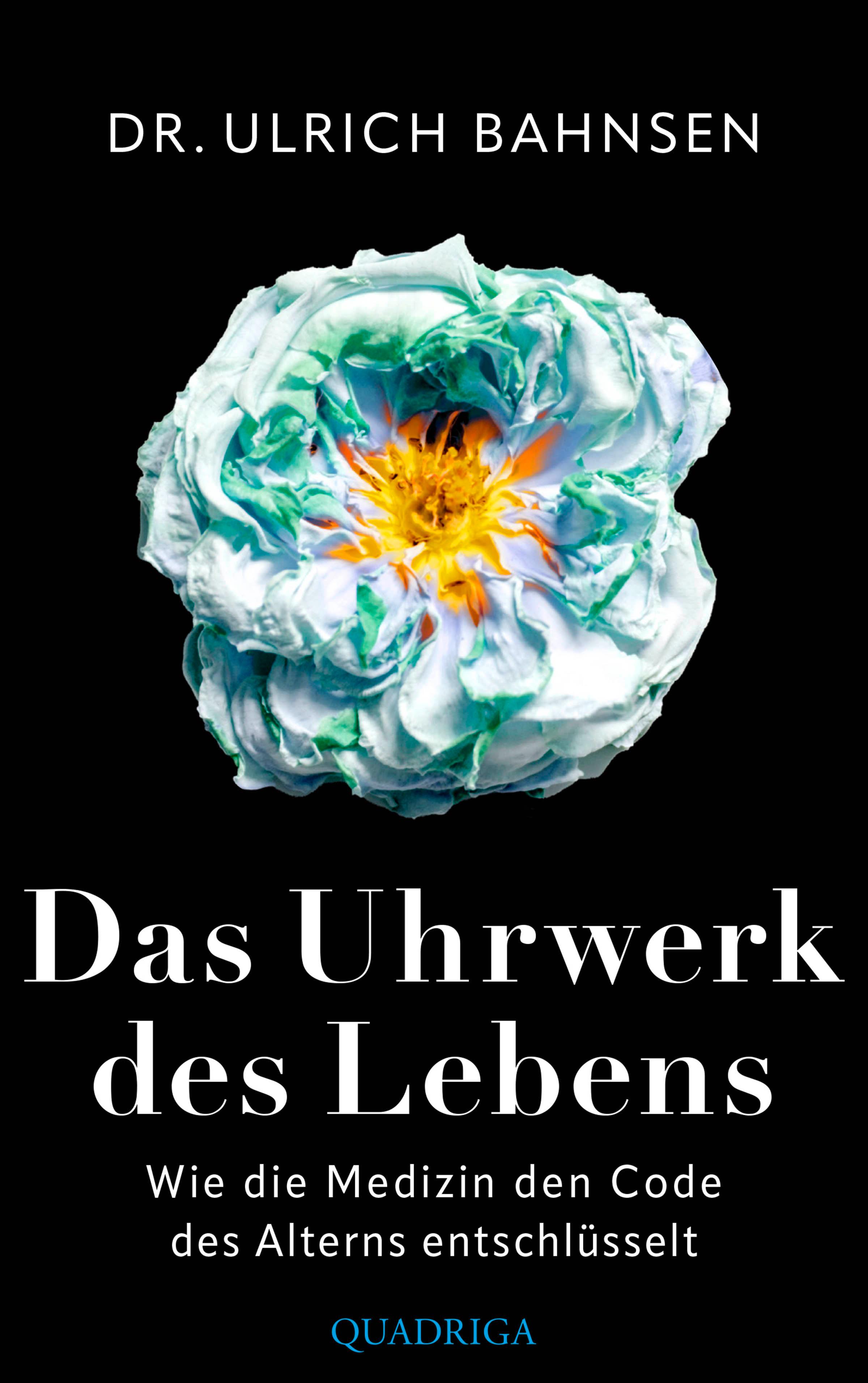 Vorderes Coverbild Das Uhrwerk des Lebens