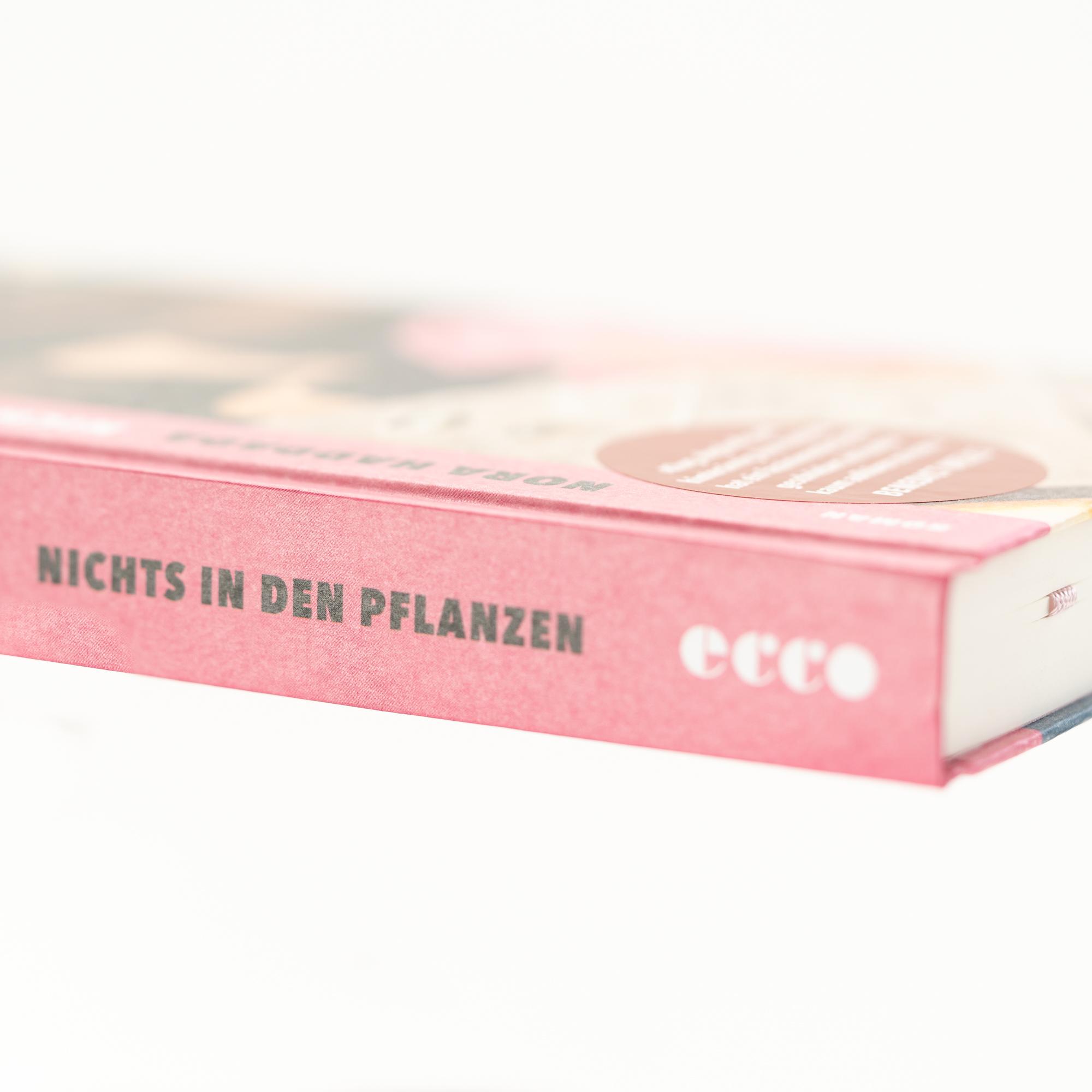 Beispielinhalt (Bild) Nichts in den Pflanzen