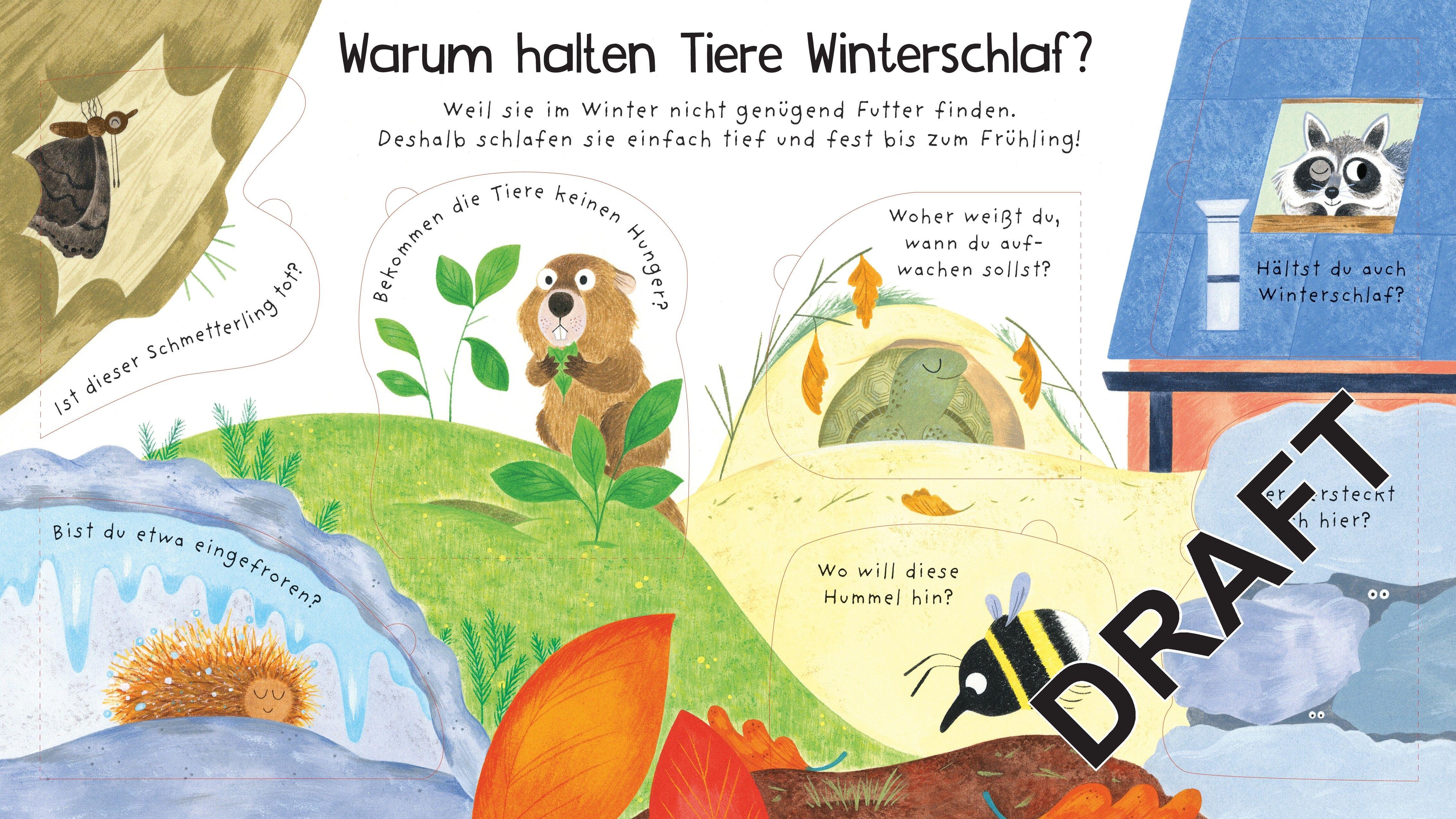 Beispielinhalt (Bild) Erstes Aufklappen und Verstehen: Wo sind die Tiere im Winter?