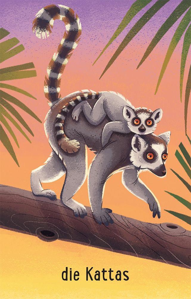 Beispielinhalt (Bild) Schnapp und weg! Das superschnelle Kartenspiel: Im Zoo