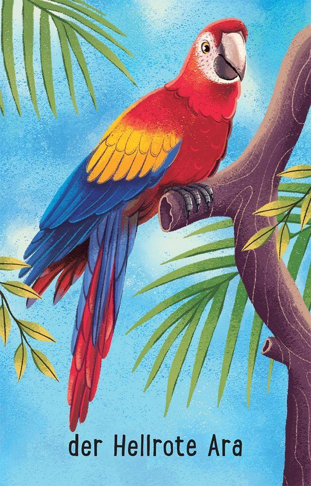 Beispielinhalt (Bild) Schnapp und weg! Das superschnelle Kartenspiel: Im Zoo