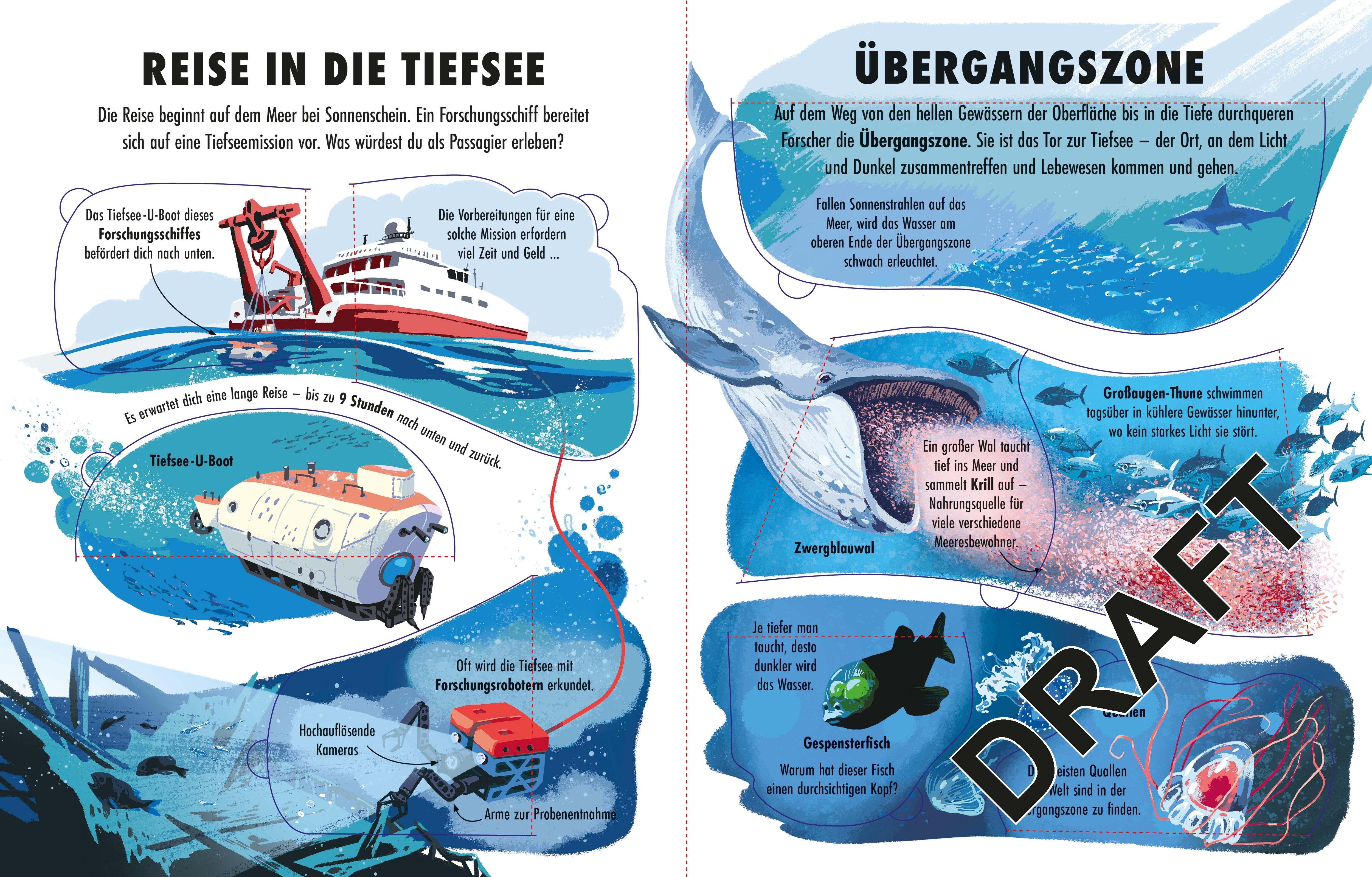 Beispielinhalt (Bild) Welt der Extreme: Die Tiefsee