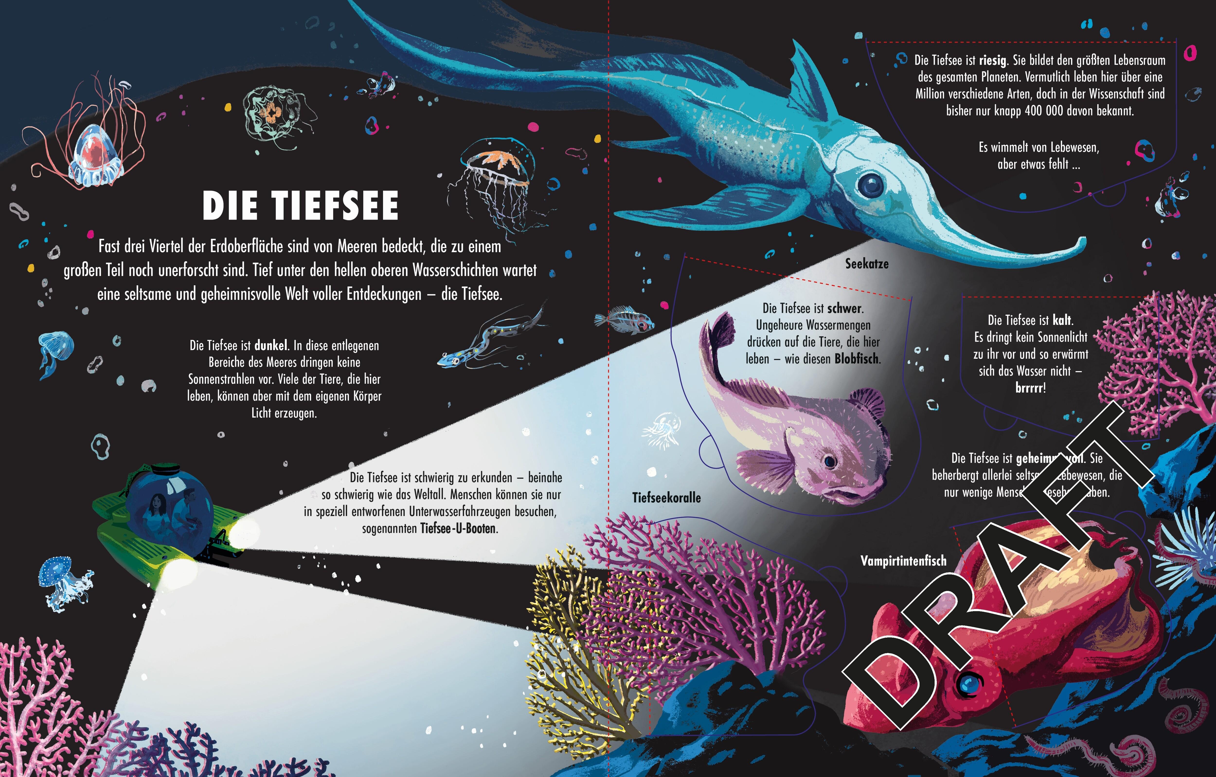 Beispielinhalt (Bild) Welt der Extreme: Die Tiefsee