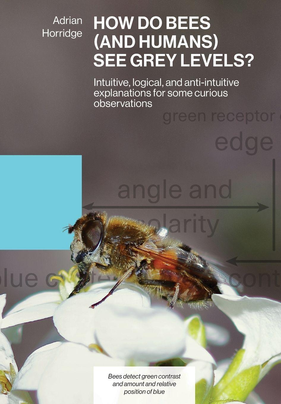 Vorderes Coverbild HOW DO BEES (AND HUMANS) SEE GREY LEVELS?