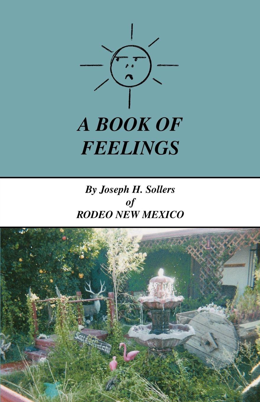 Vorderes Coverbild A Book of Feelings