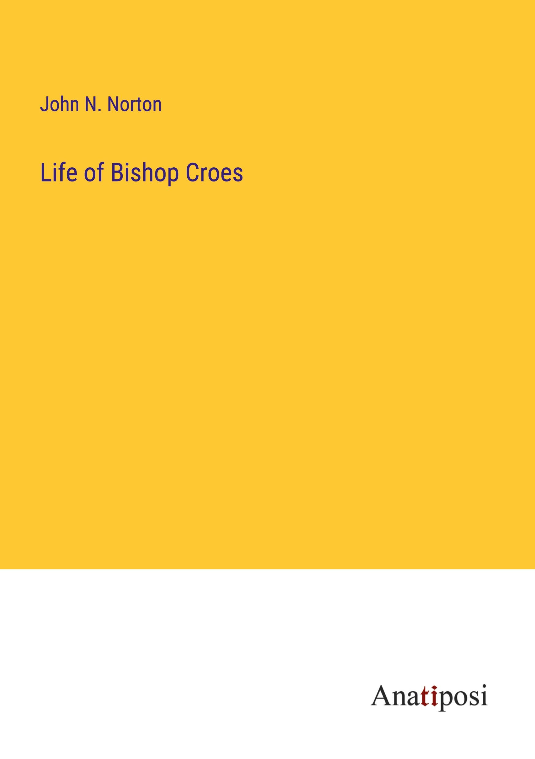 Vorderes Coverbild Life of Bishop Croes