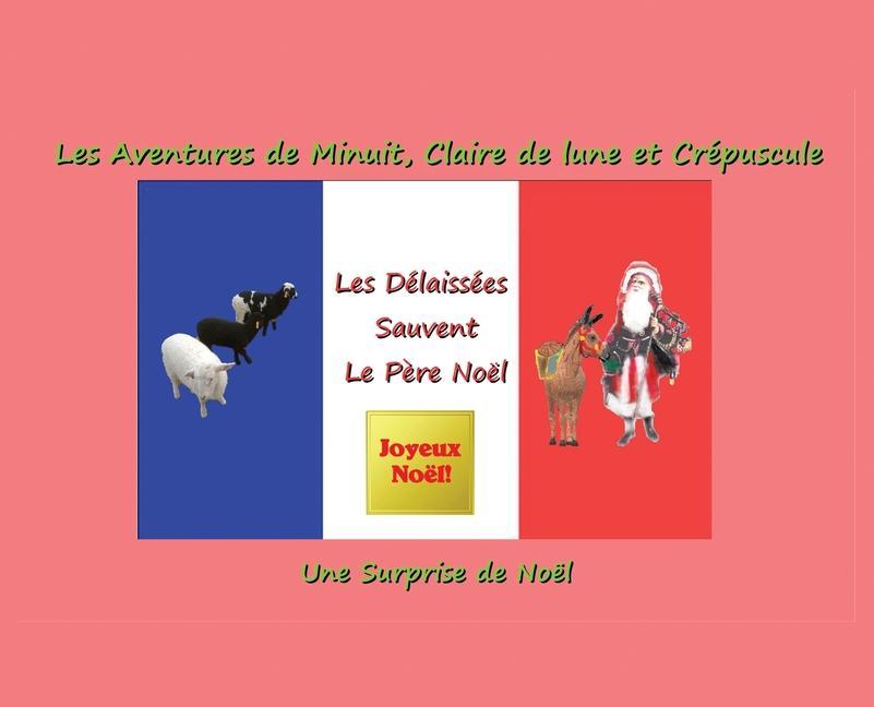 Vorderes Coverbild The Délaissées Sauvent Le Père Noël