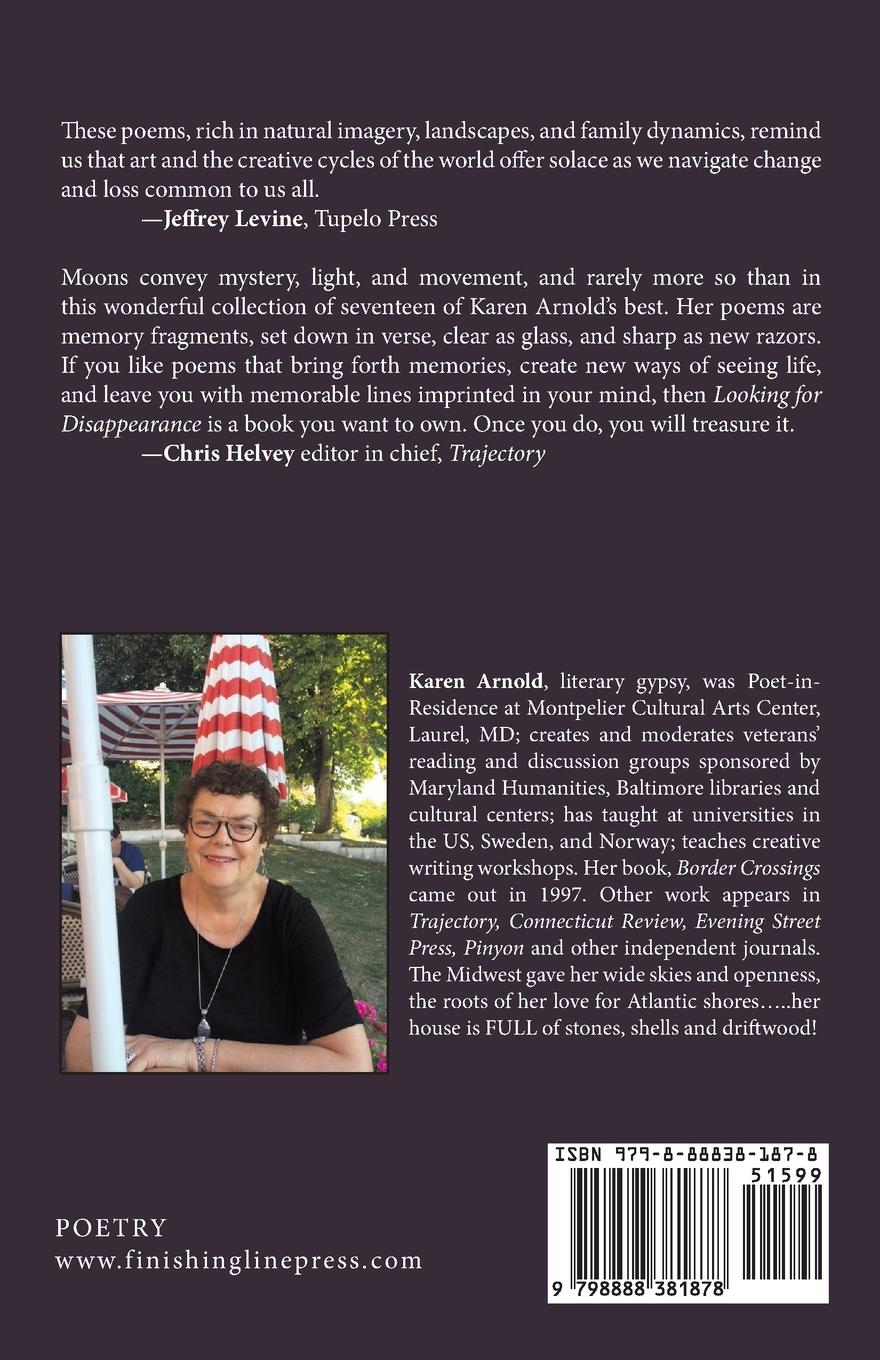 Rückseitencover Looking for Disappearance