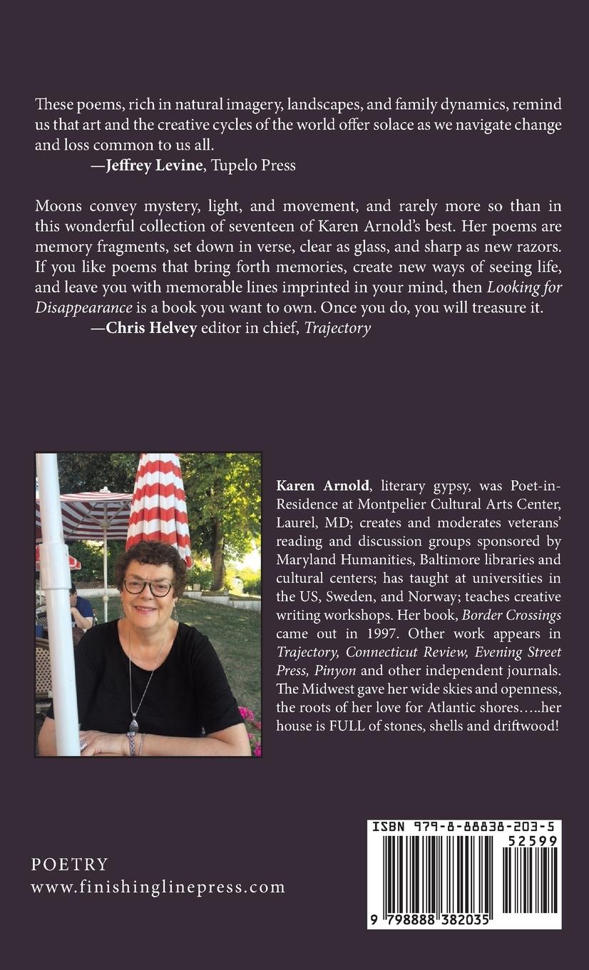 Rückseitencover Looking for Disappearance