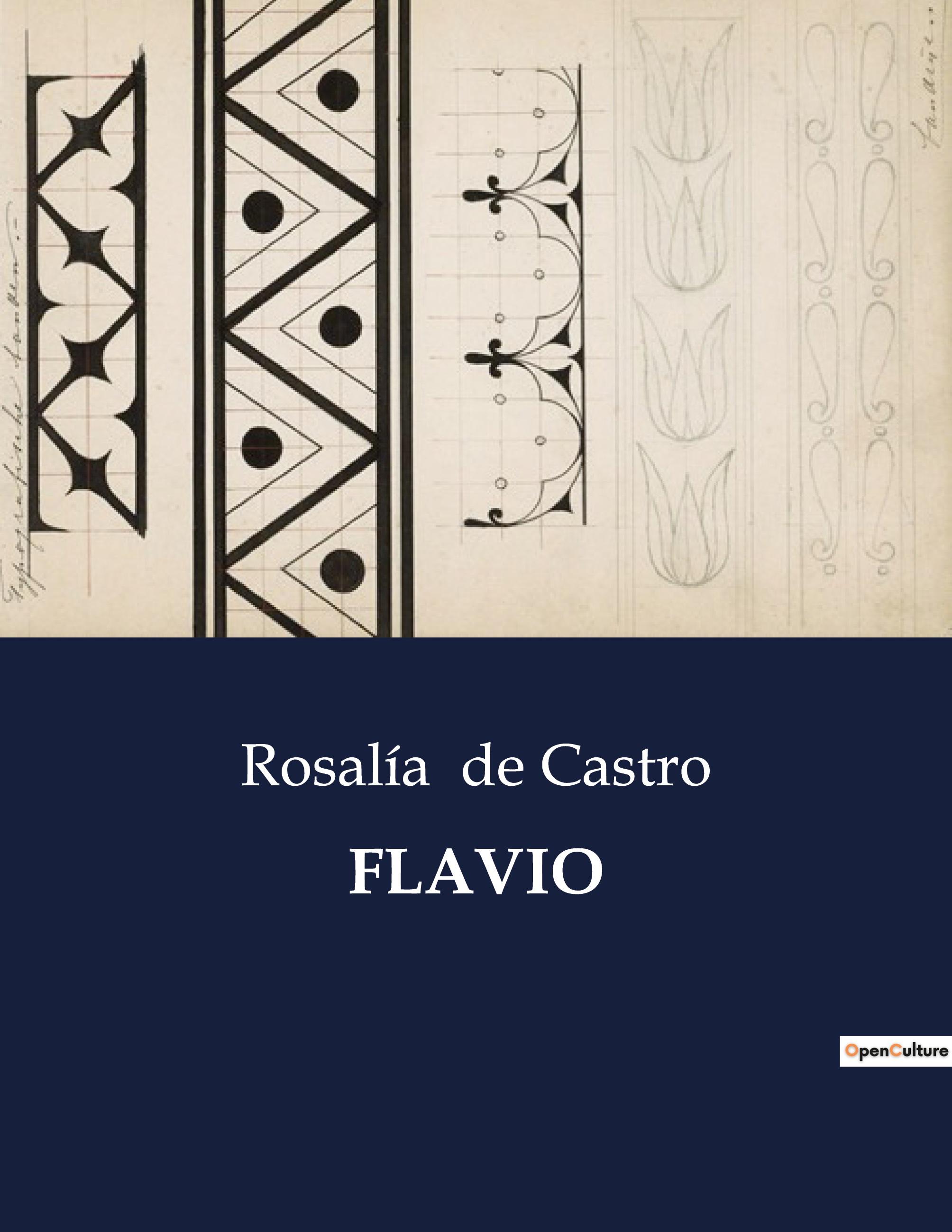 Vorderes Coverbild FLAVIO