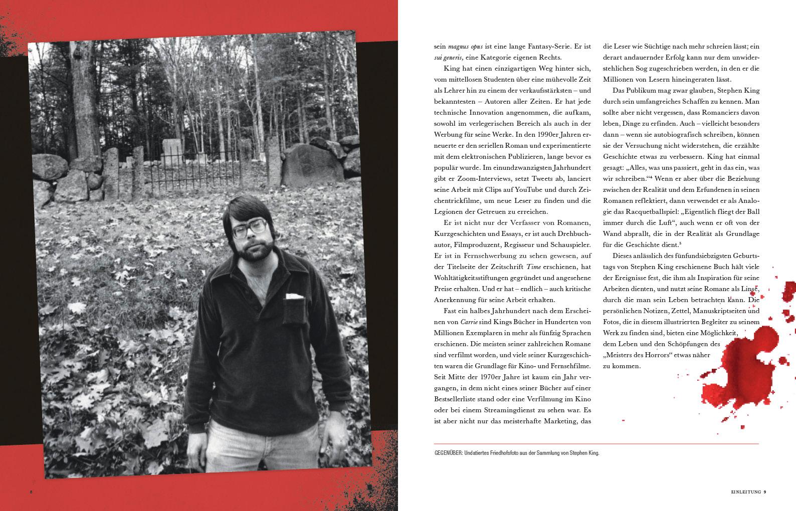 Beispielinhalt (Bild) Stephen King
