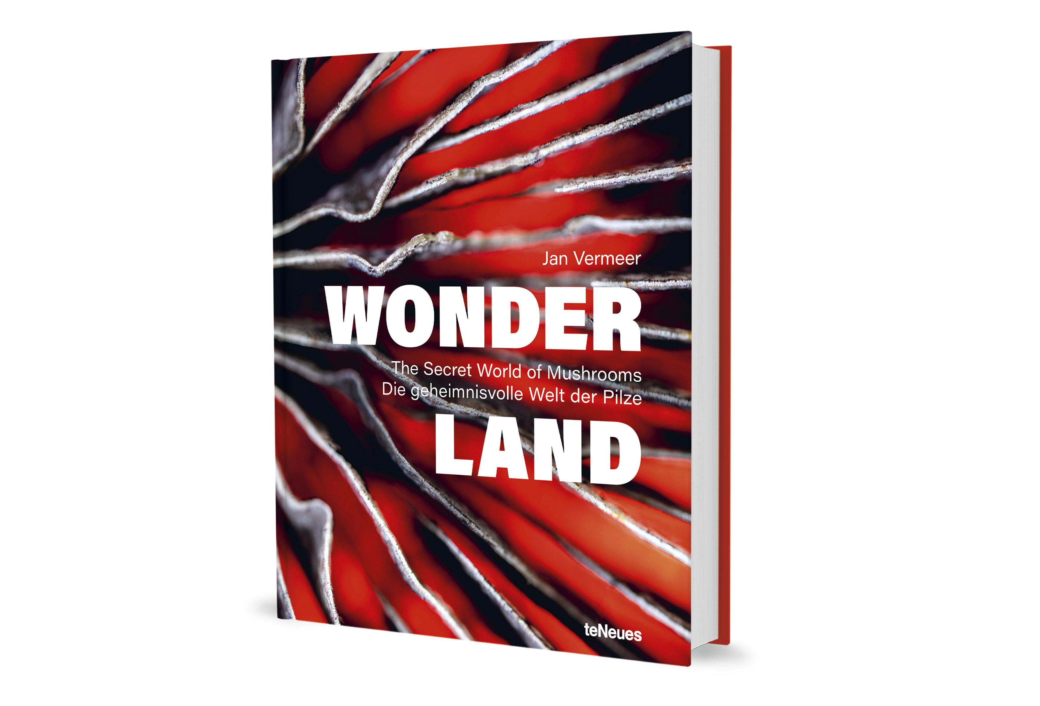 Beispielinhalt (Bild) Wonderland