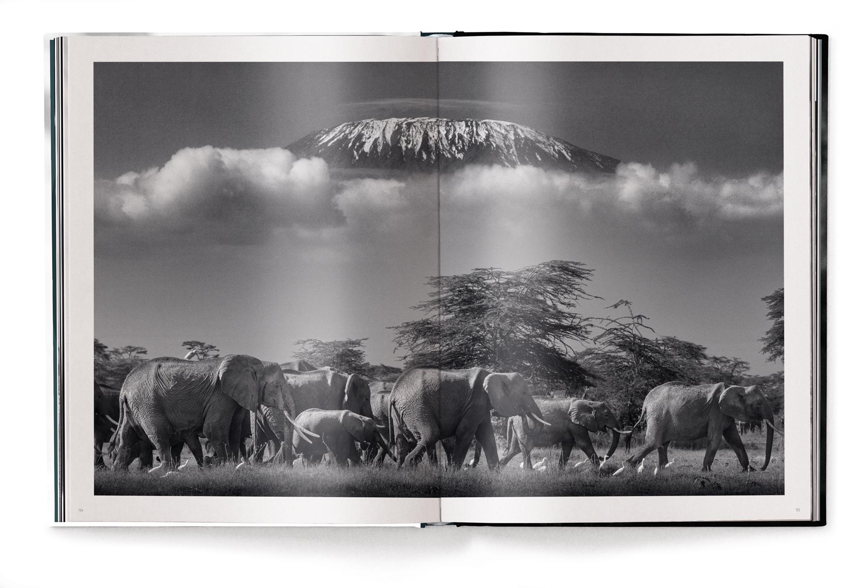 Beispielinhalt (Bild) Beusker