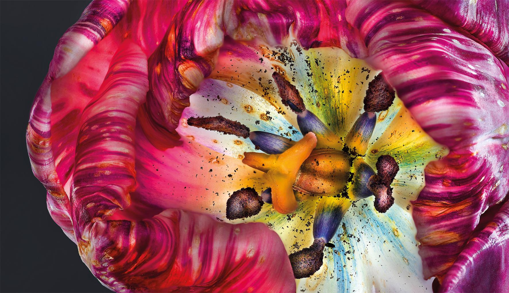 Beispielinhalt (Bild) Floral