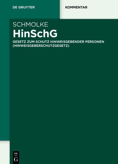 Vorderes Coverbild HinSchG