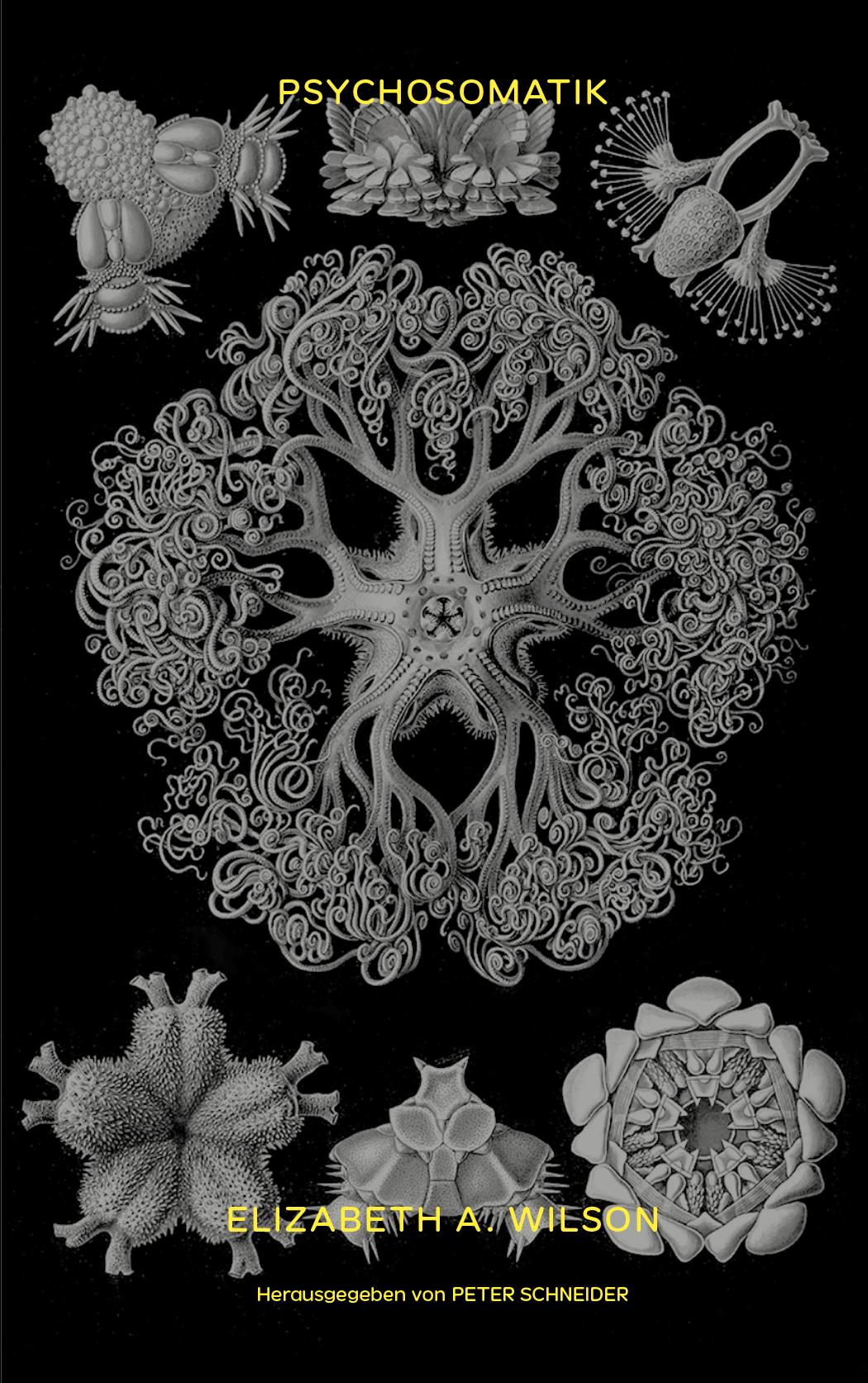 Vorderes Coverbild Psychosomatik