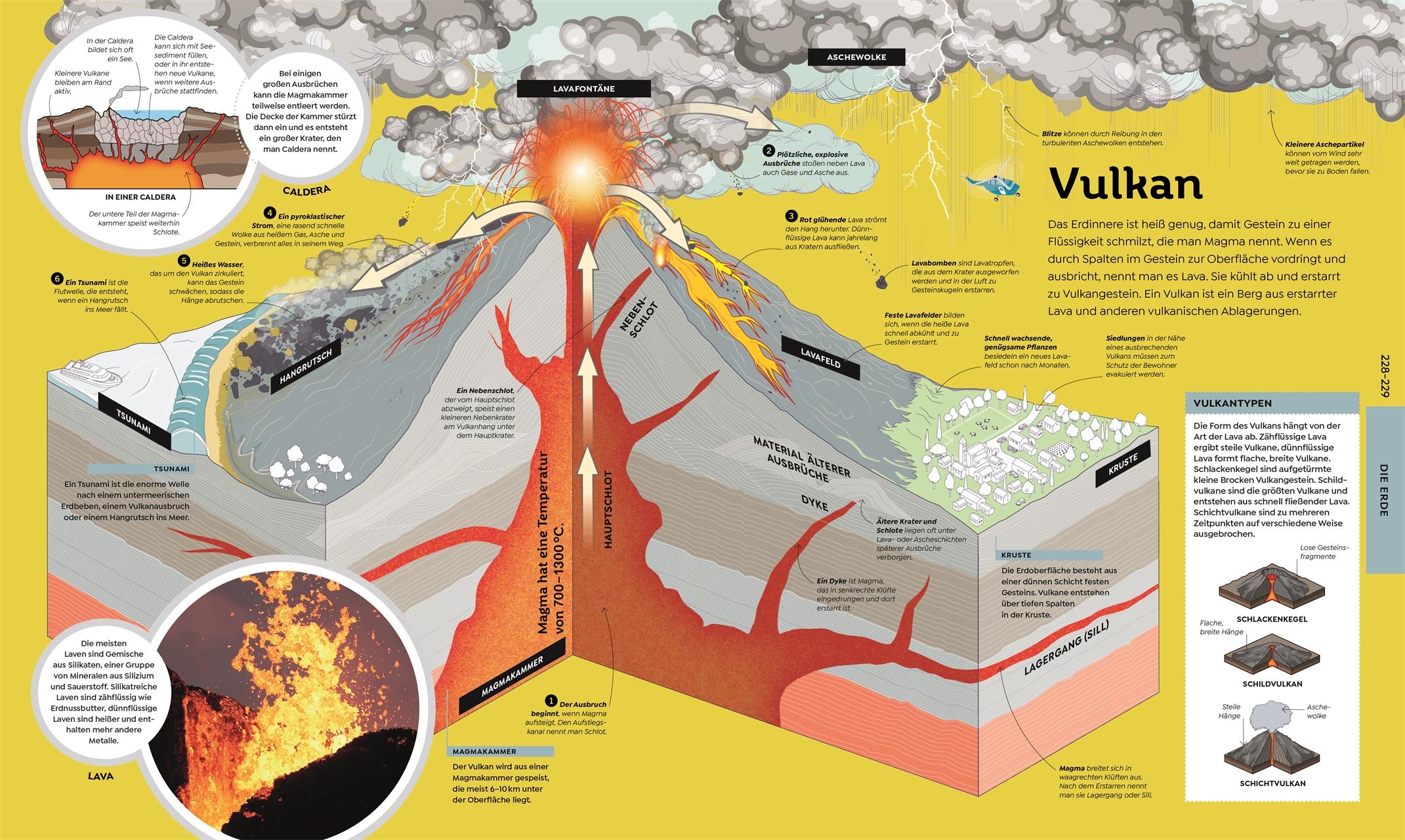 Beispielinhalt (Bild) Das große Buch von Allem