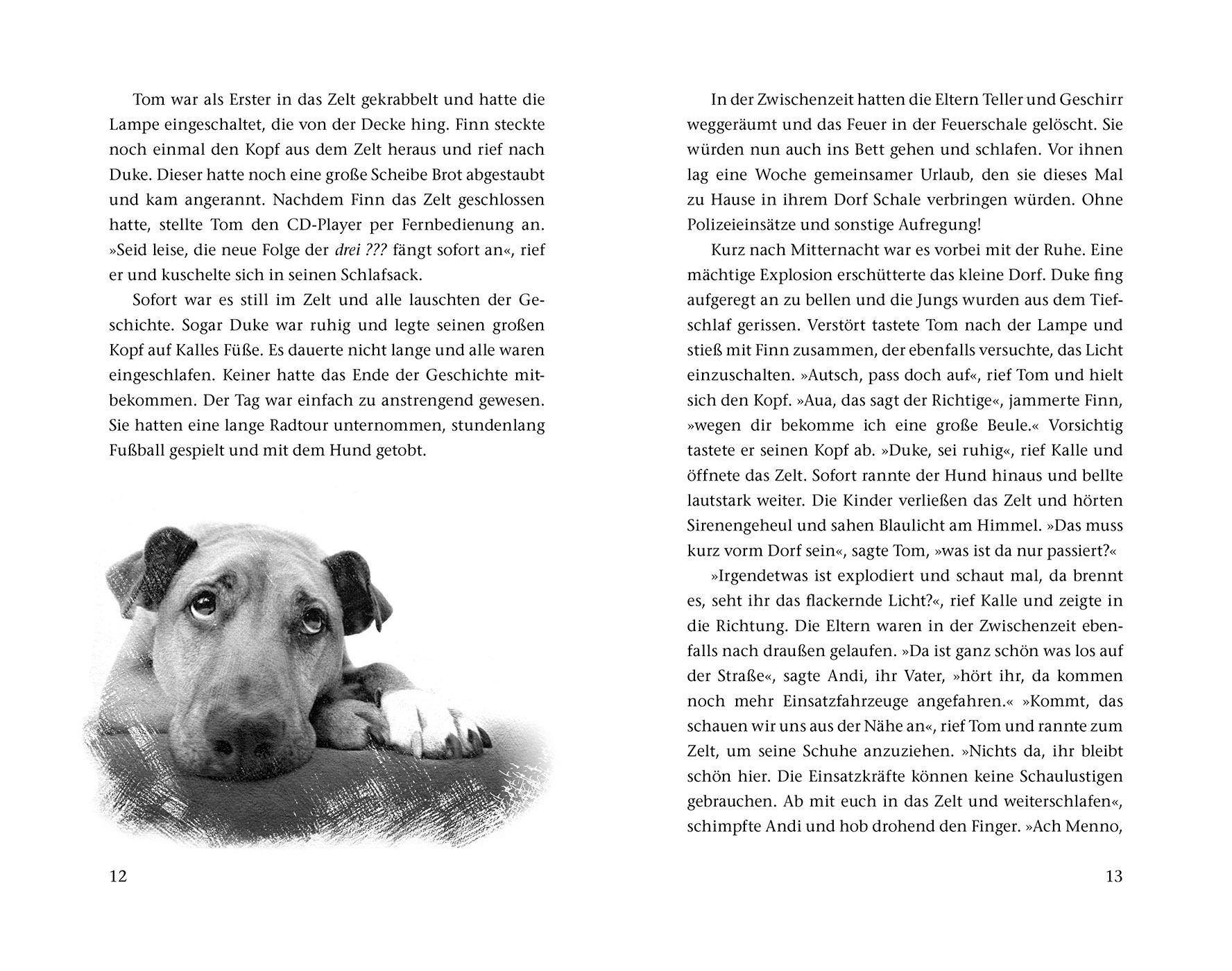 Beispielinhalt (Bild) Die Scaldi-Bande