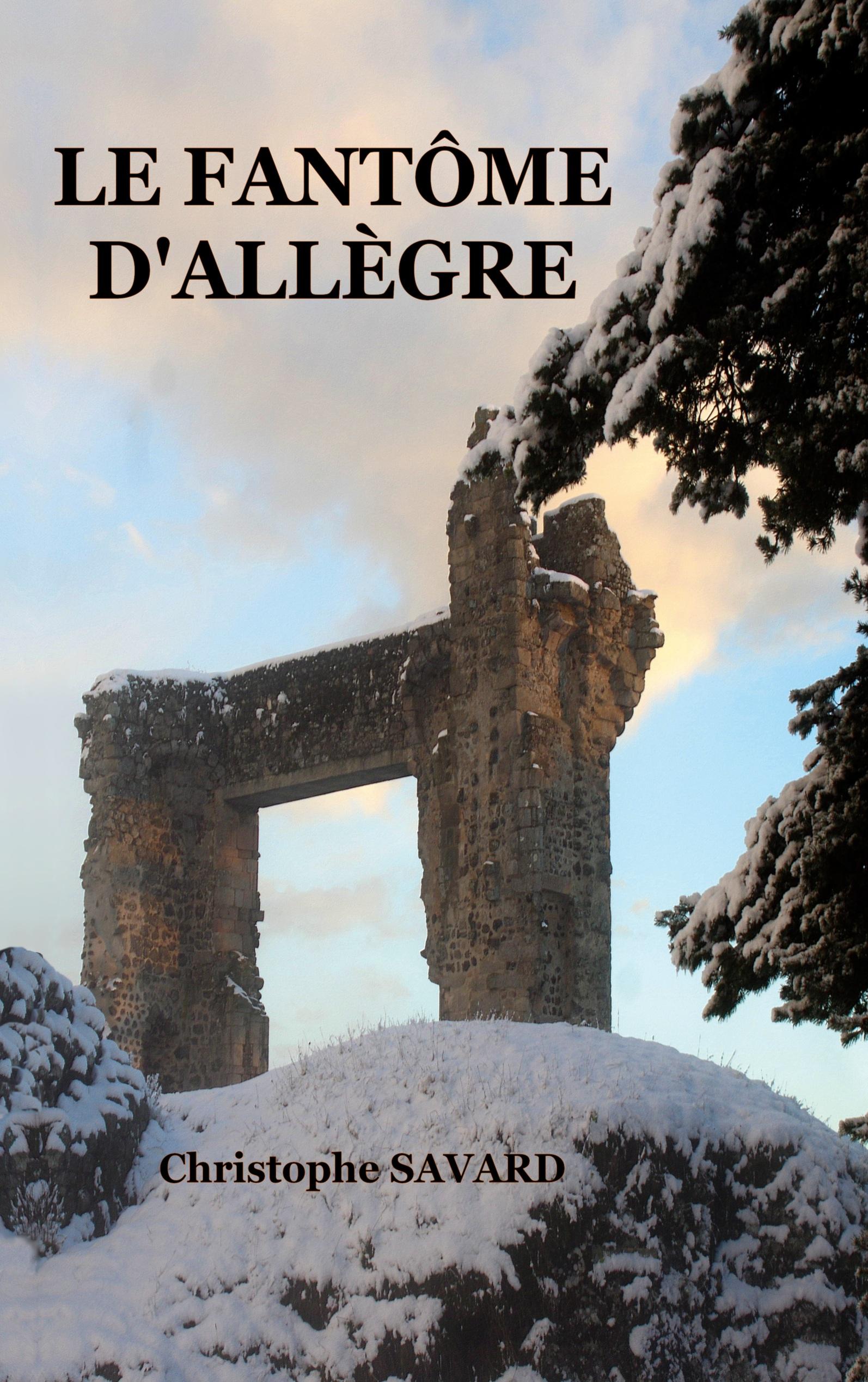 Vorderes Coverbild Le fantôme d'Allègre