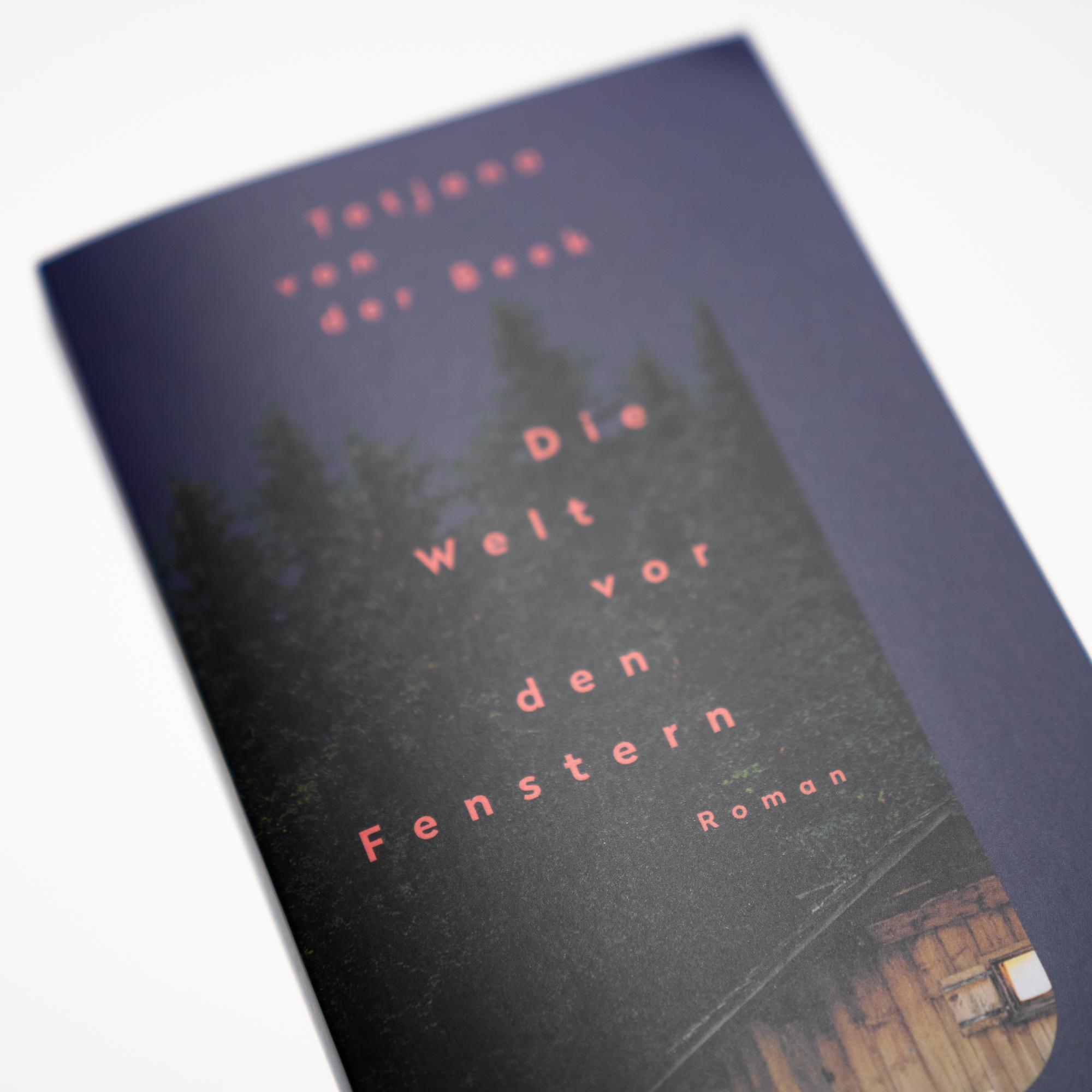 Beispielinhalt (Bild) Die Welt vor den Fenstern