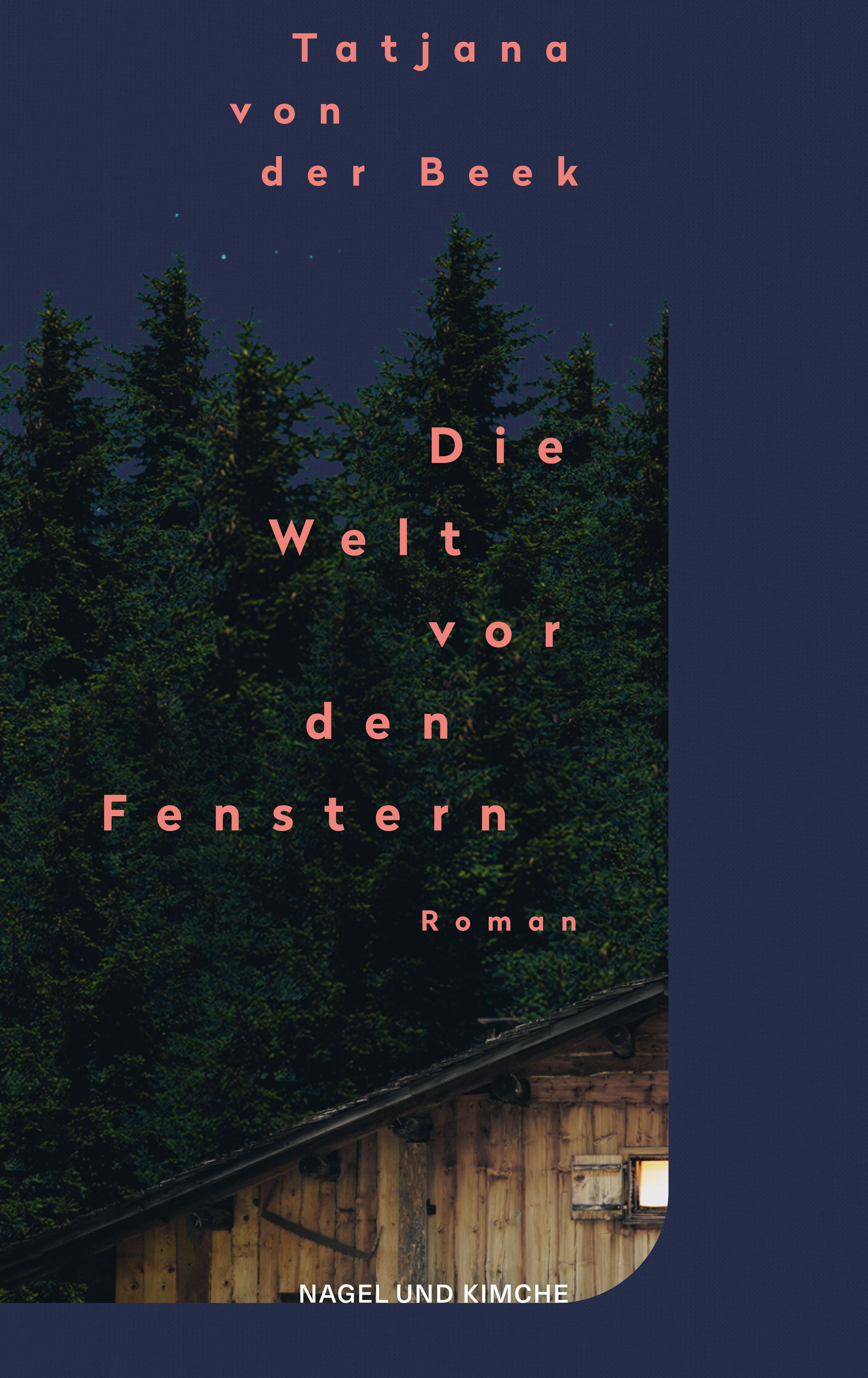 Vorderes Coverbild Die Welt vor den Fenstern