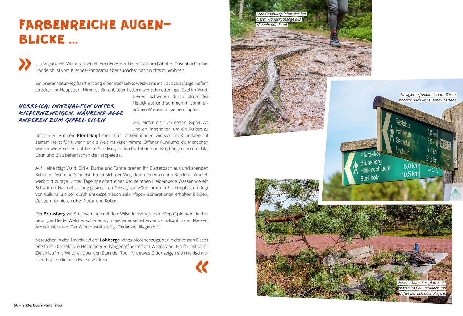 Beispielinhalt (Bild) DUMONT Wanderzeit in der Lüneburger Heide