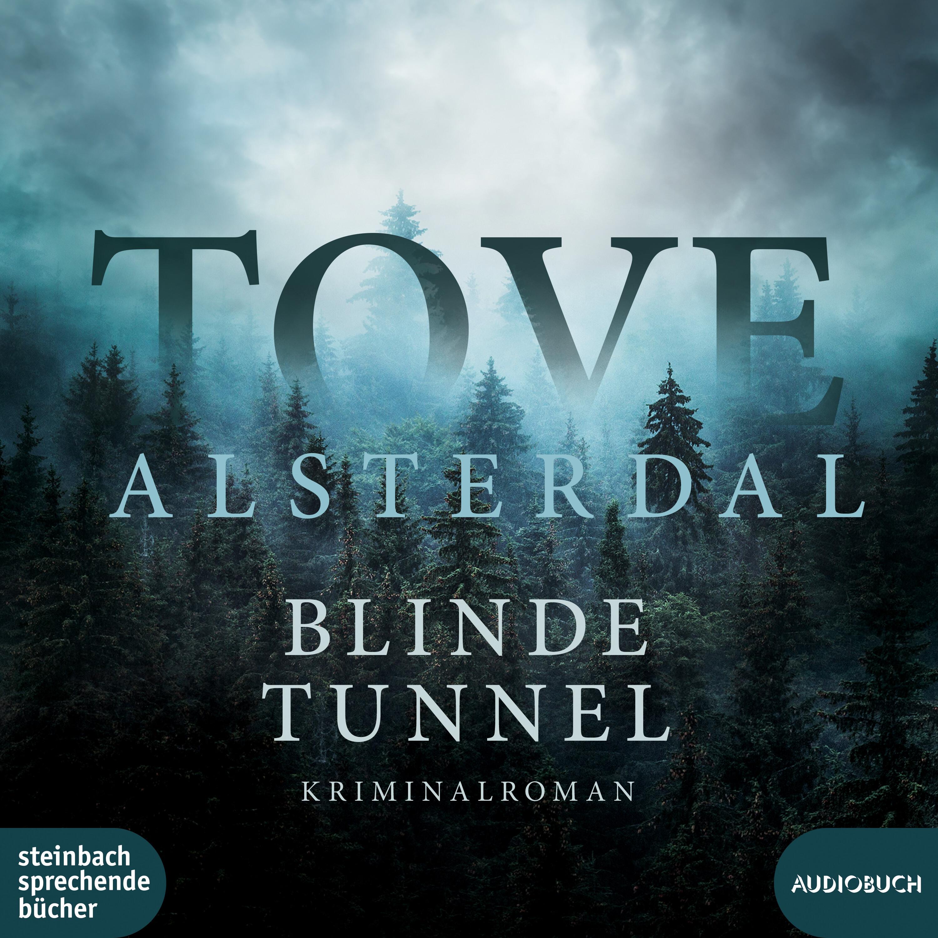 Vorderes Coverbild Blinde Tunnel