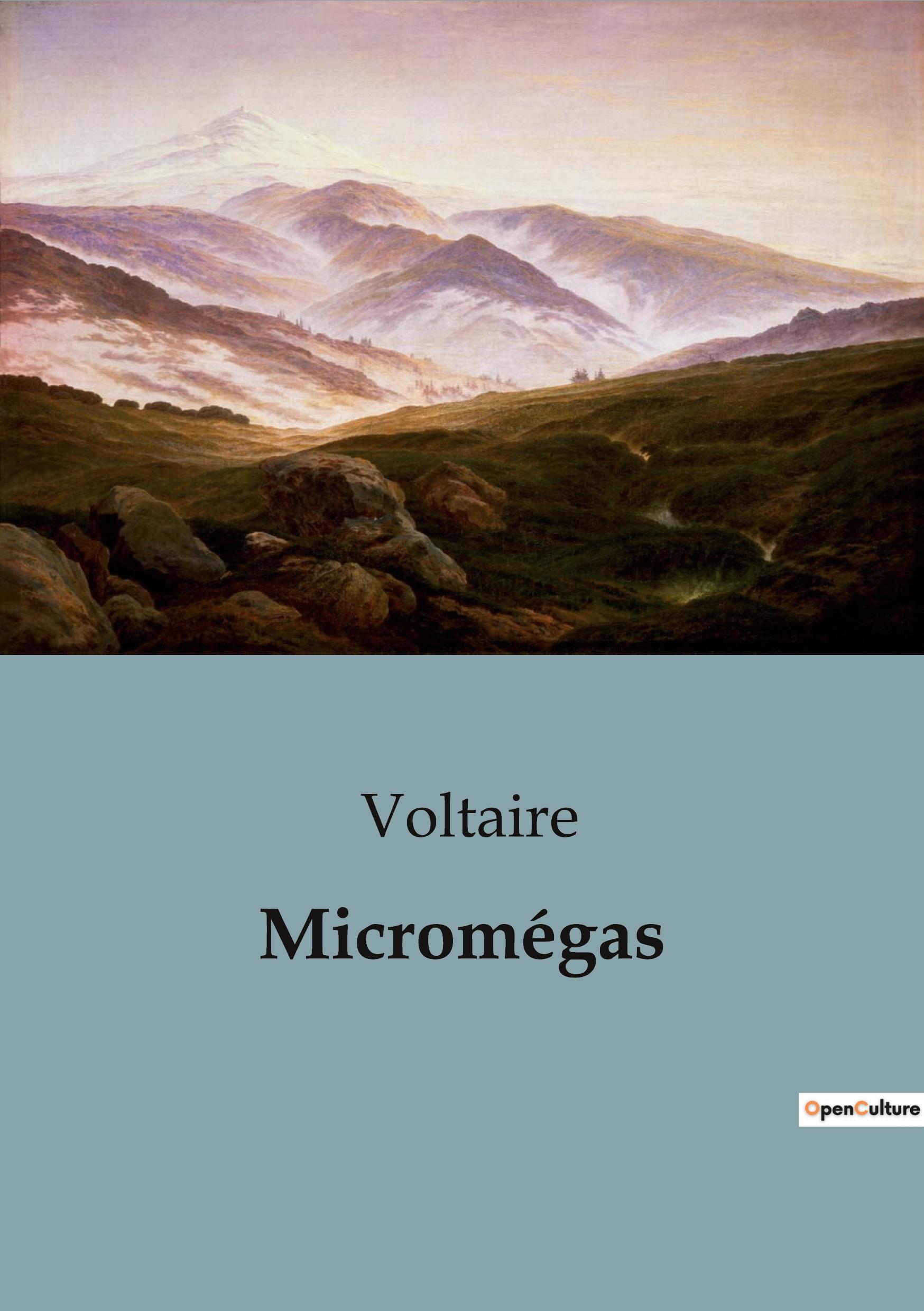 Vorderes Coverbild Micromégas