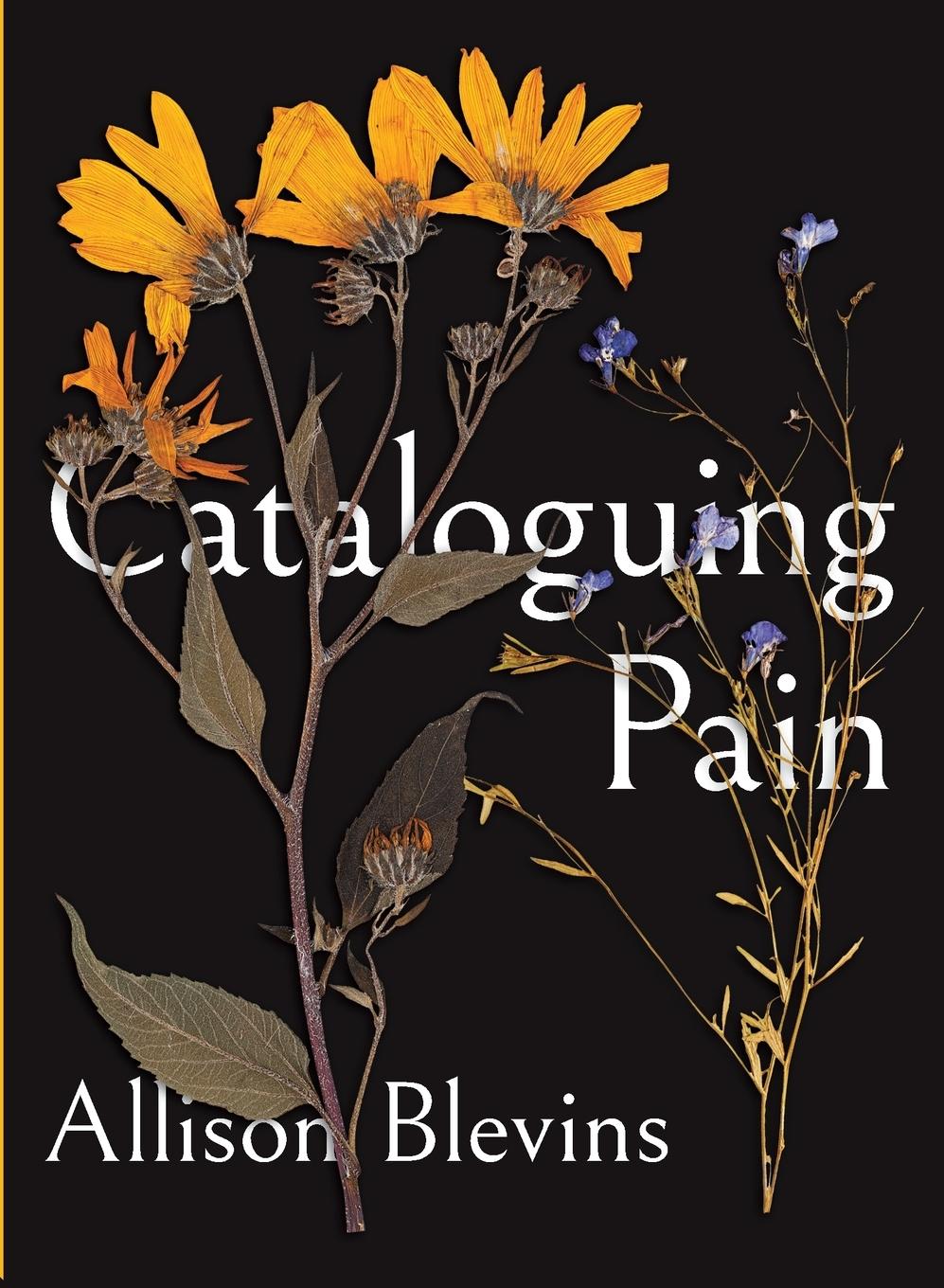 Vorderes Coverbild Cataloguing Pain