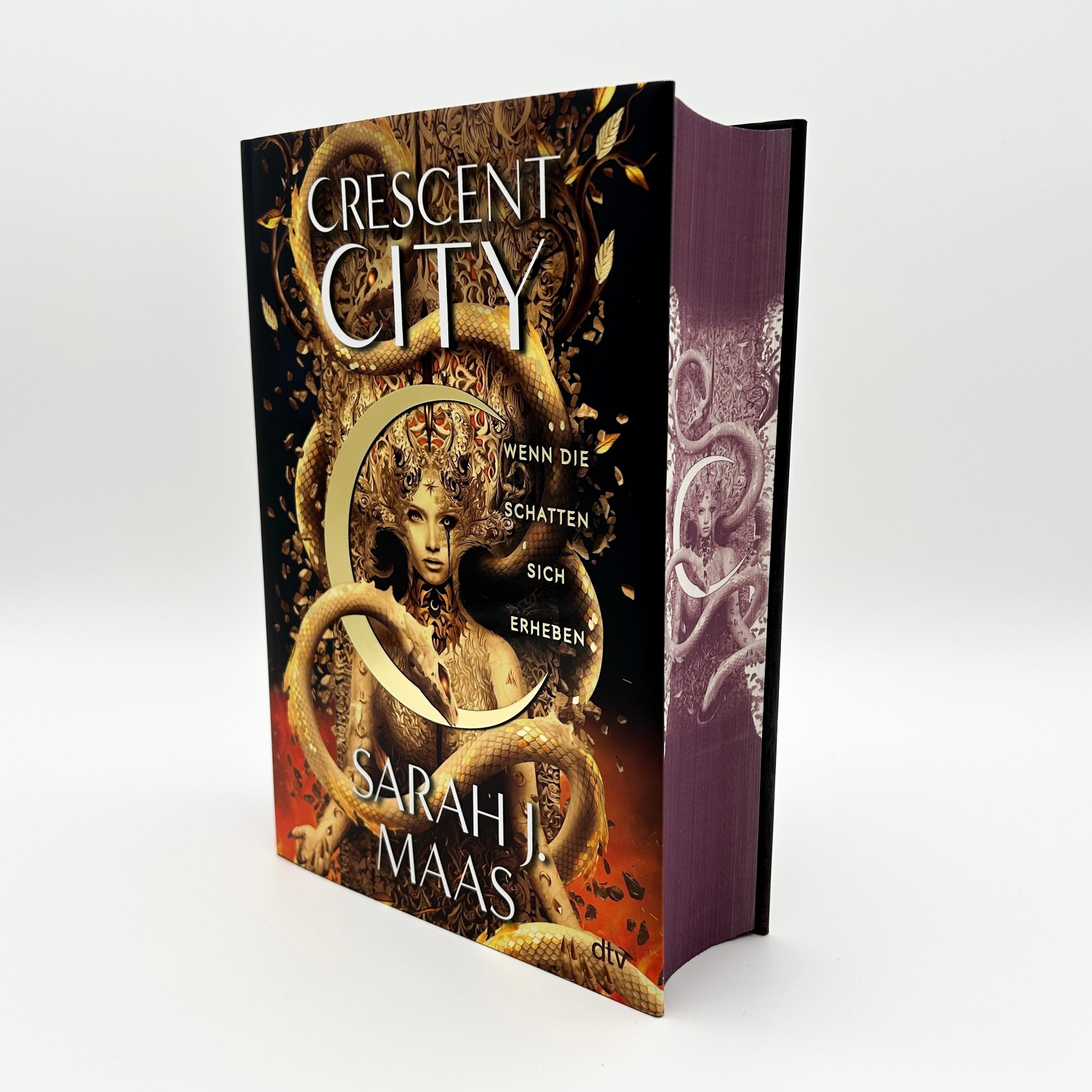 Beispielinhalt (Bild) Crescent City - Wenn die Schatten sich erheben